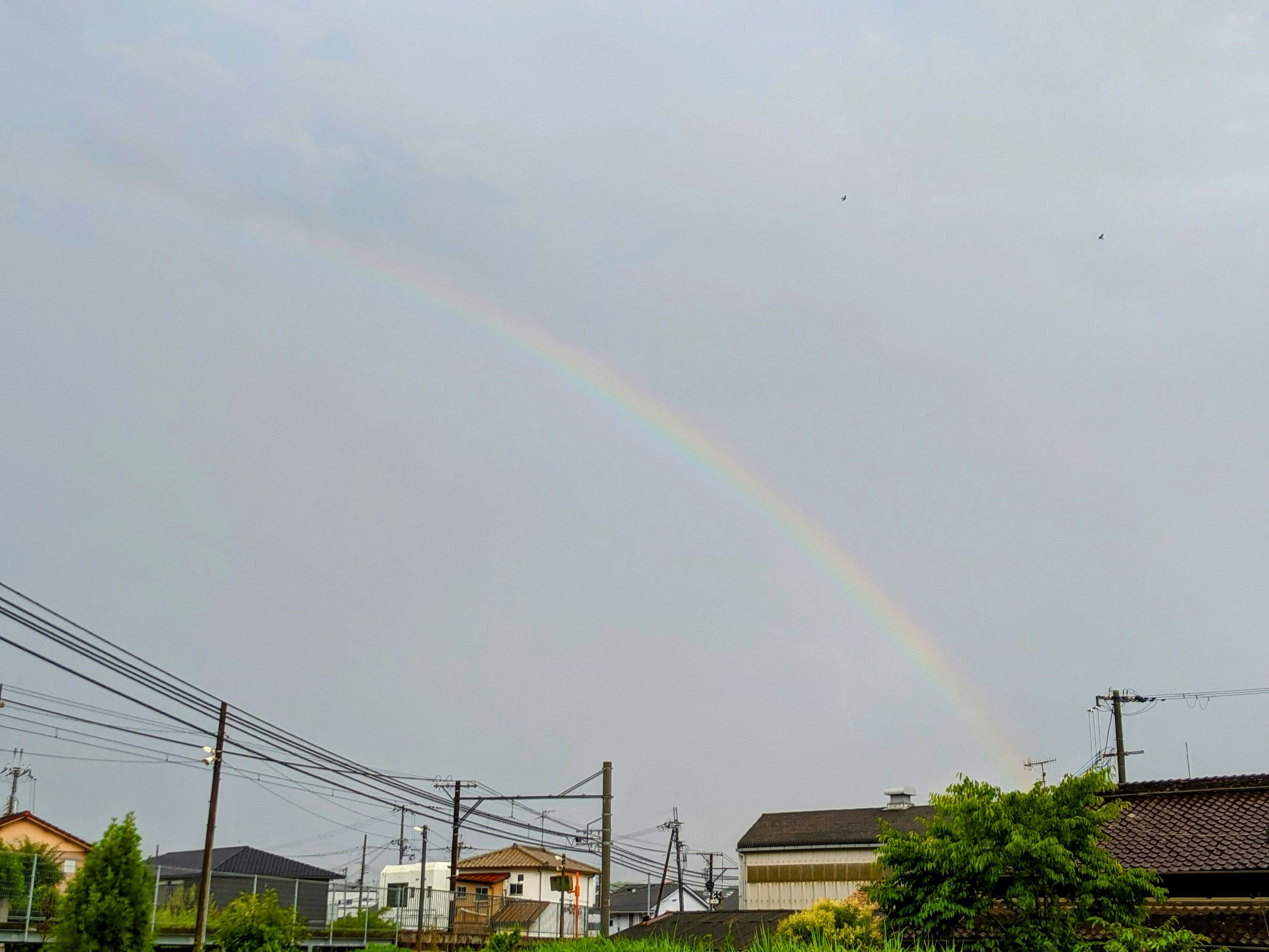 雨上がりの空にかかる虹と住宅街の電線