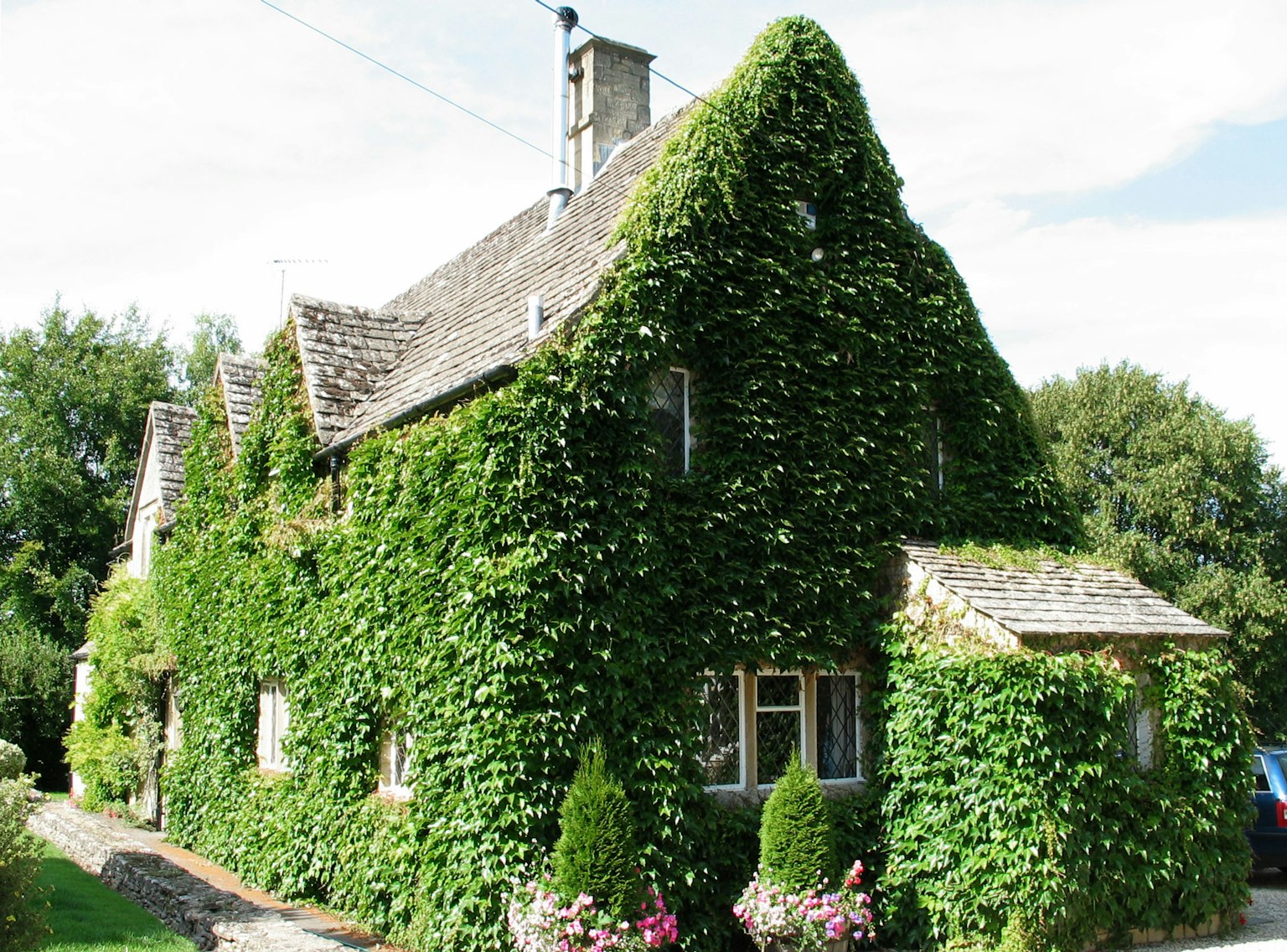 Casa cubierta de plantas trepadoras verdes con un exterior encantador