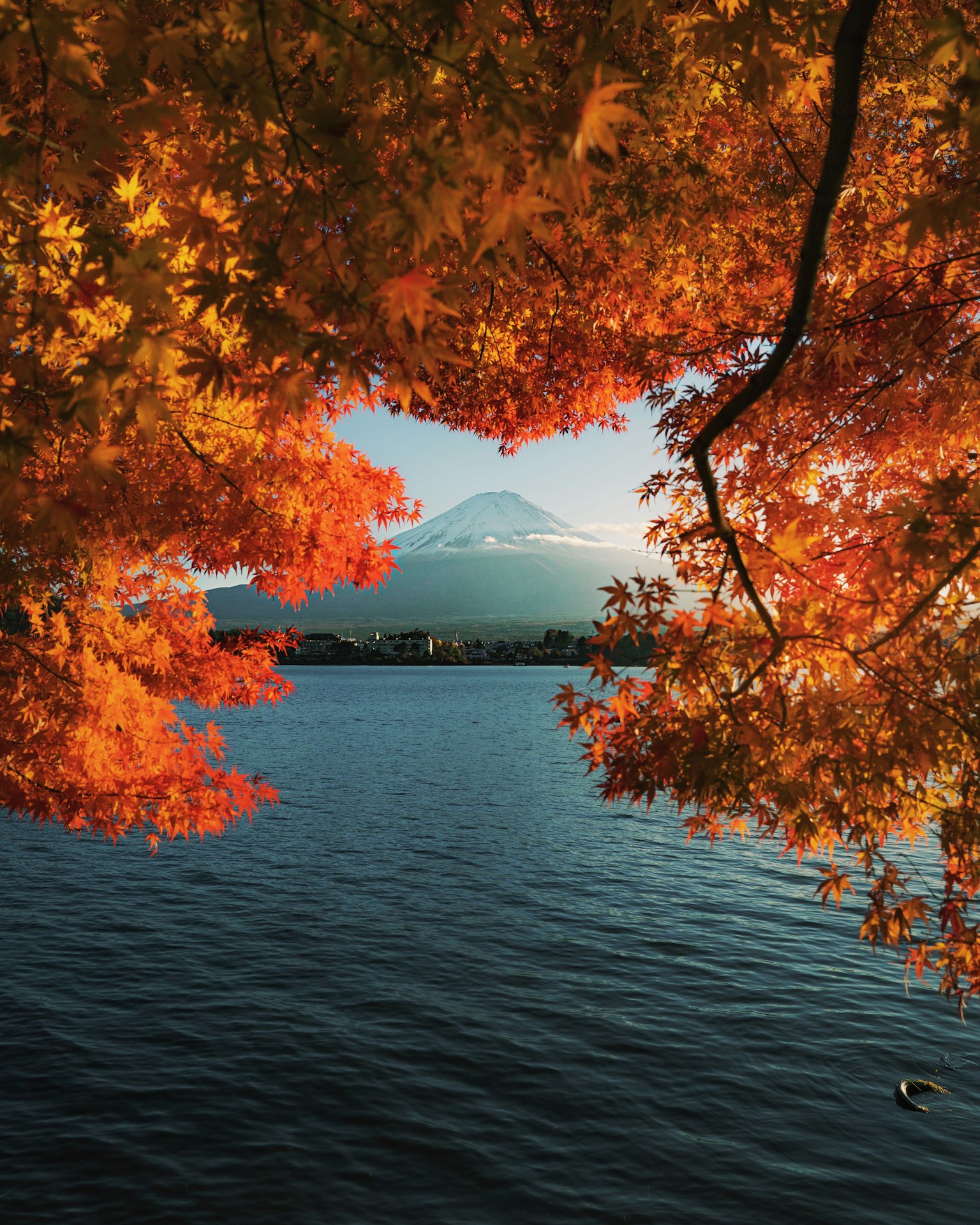 photo-fuUEbFw1Lsoqgjwg7Nnu-image