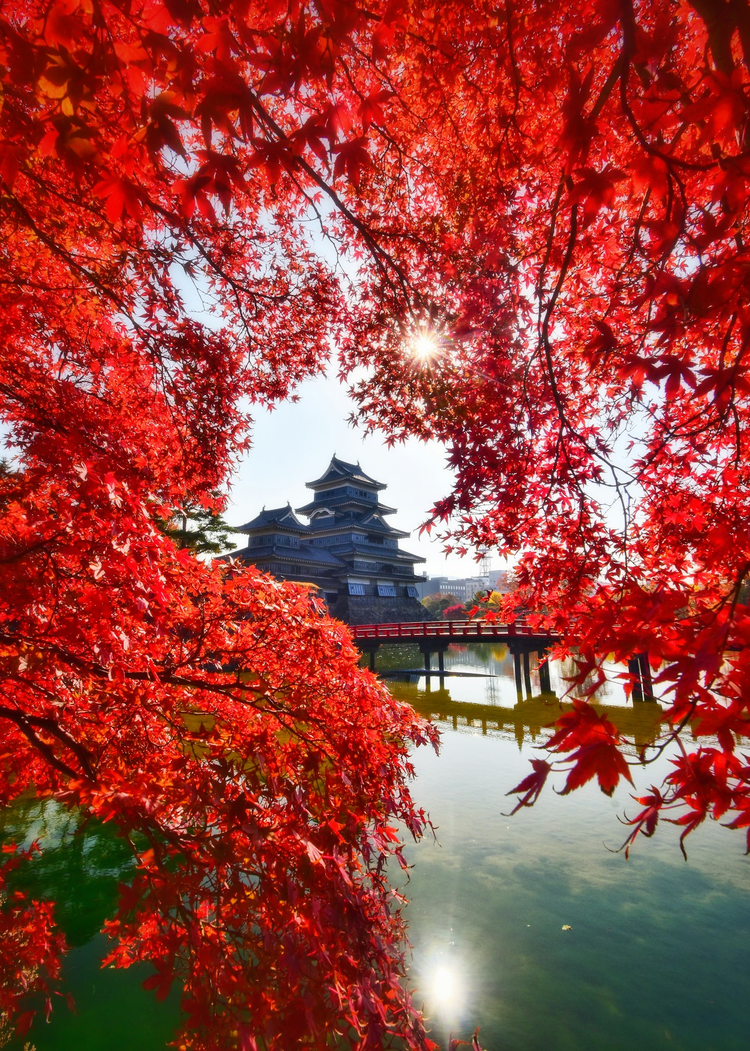 美麗的城堡和橋被鮮豔的紅色秋葉環繞
