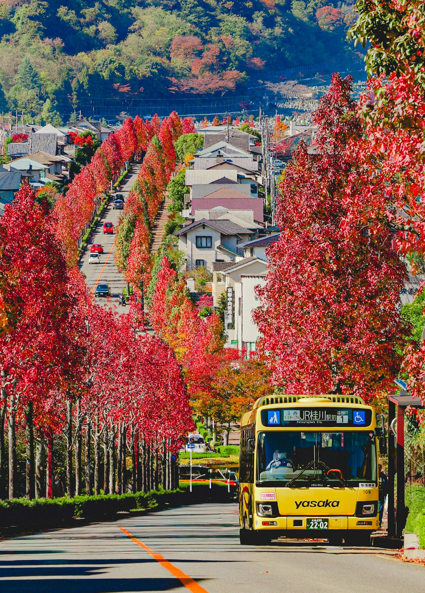 秋の紅葉に囲まれたバスが走る風景