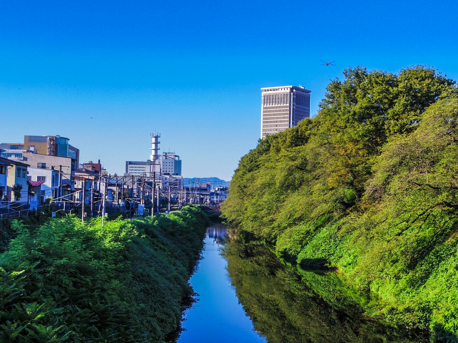 Scenic view of a river under a blue sky with lush green banks featuring city buildings and railway tracks