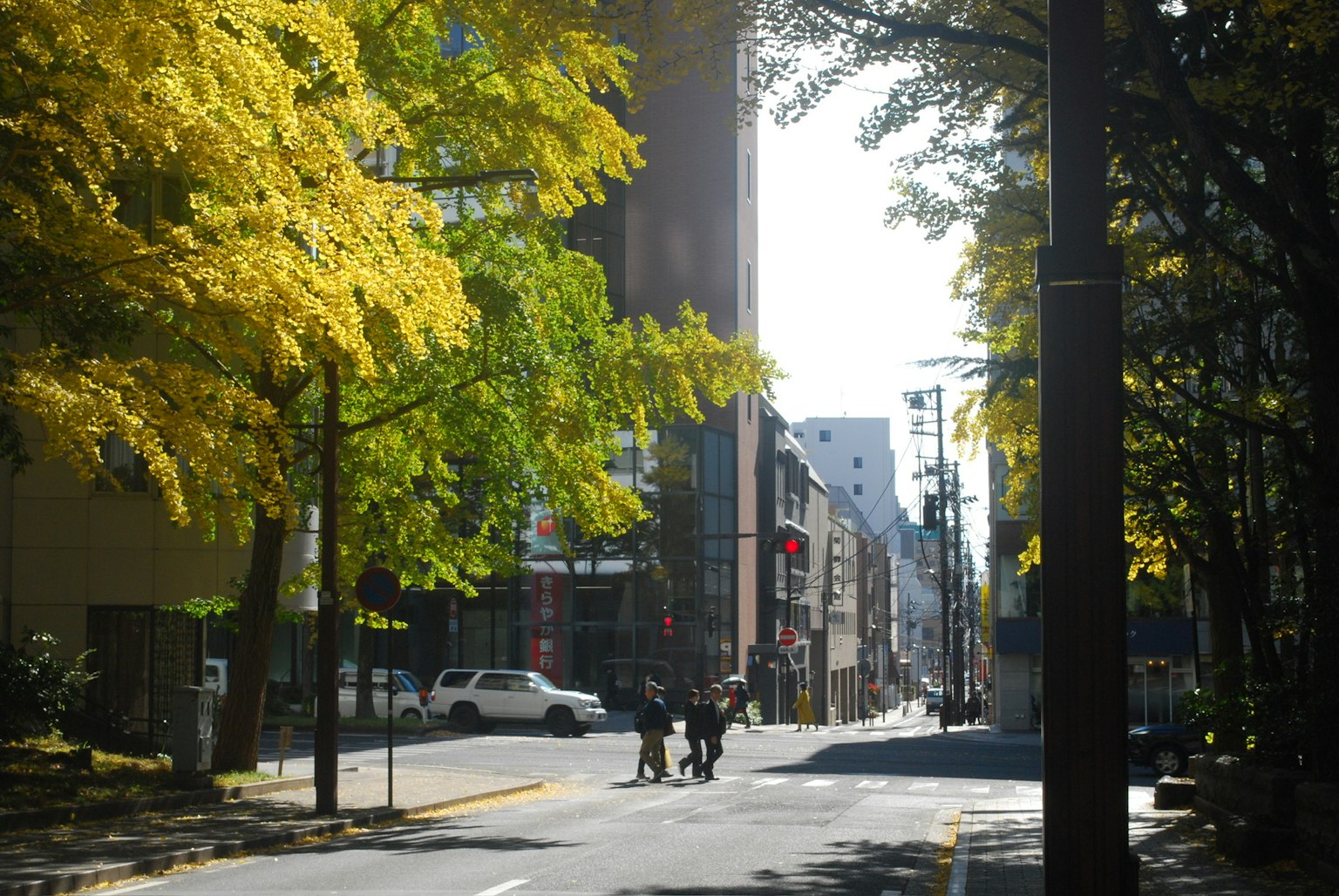秋の街並みで黄色い葉が目立つ通りに人々が歩いている