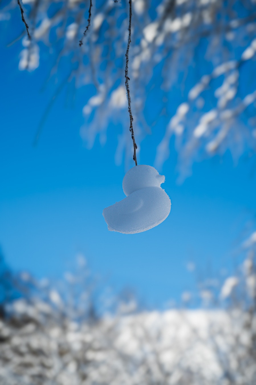 雪景色の青空に揺れる白いあひる隊長のオブジェの飾り画像