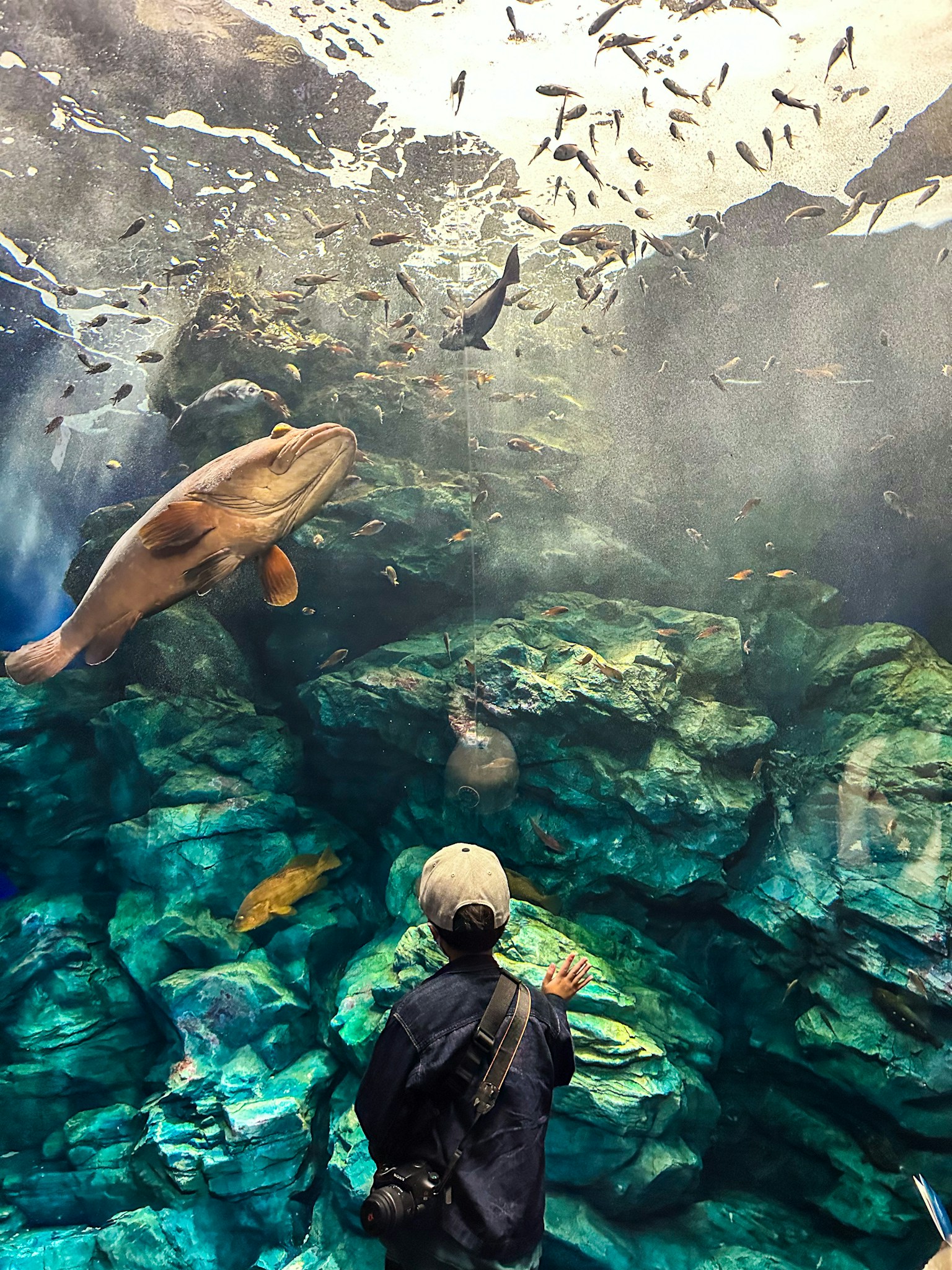 photo-fwFBEnL7DG5EMwtYLvWS-image