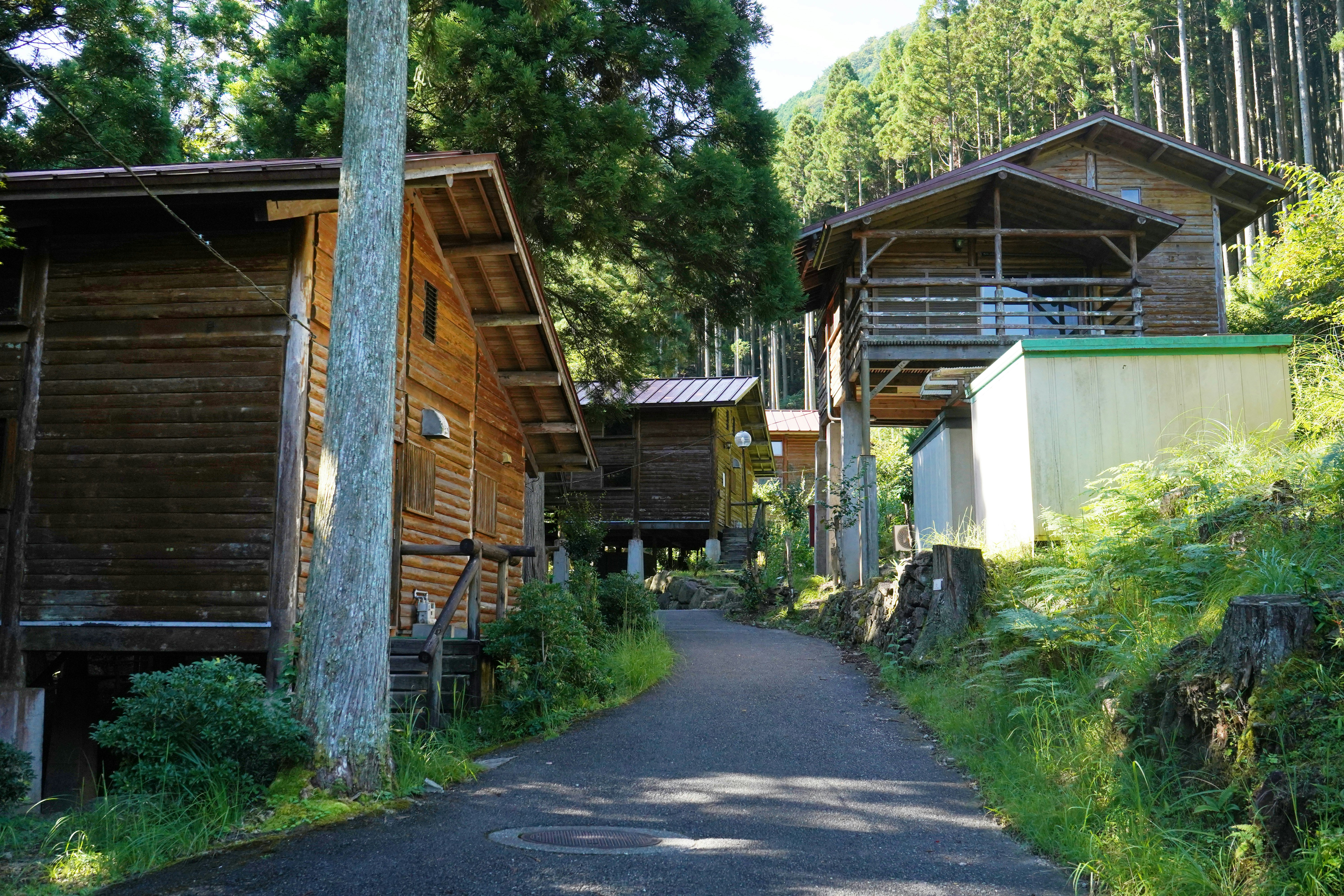 森の小道に並ぶ木造小屋と納屋