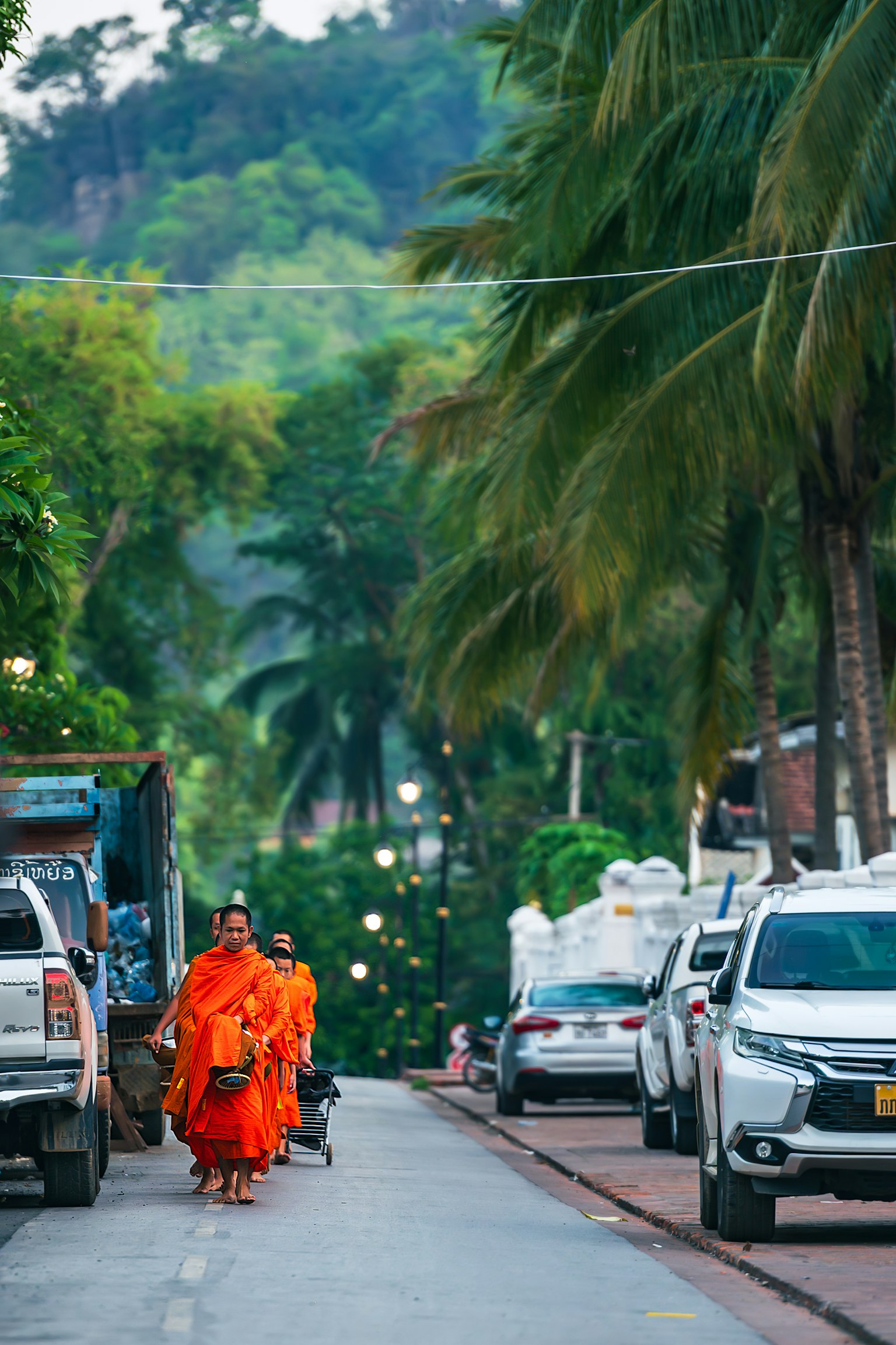 Monk in orange robes walking down a lush street lined with palm trees and cars