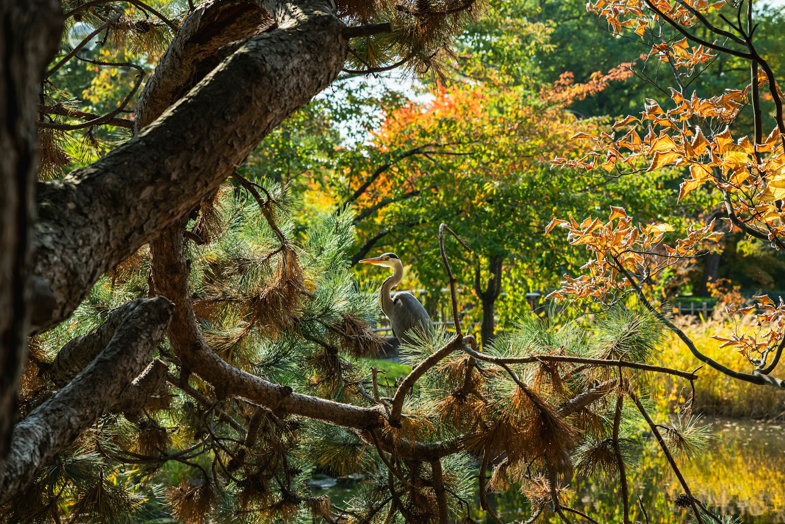 Einfaches Designbild mit dunklem Hintergrund