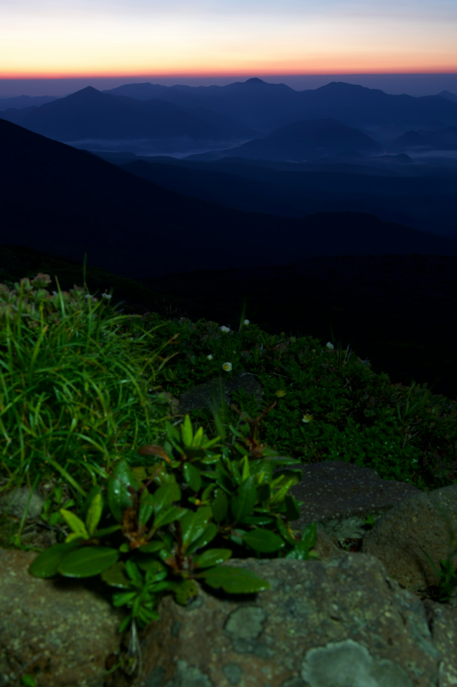 Paisaje montañoso al atardecer con plantas verdes exuberantes