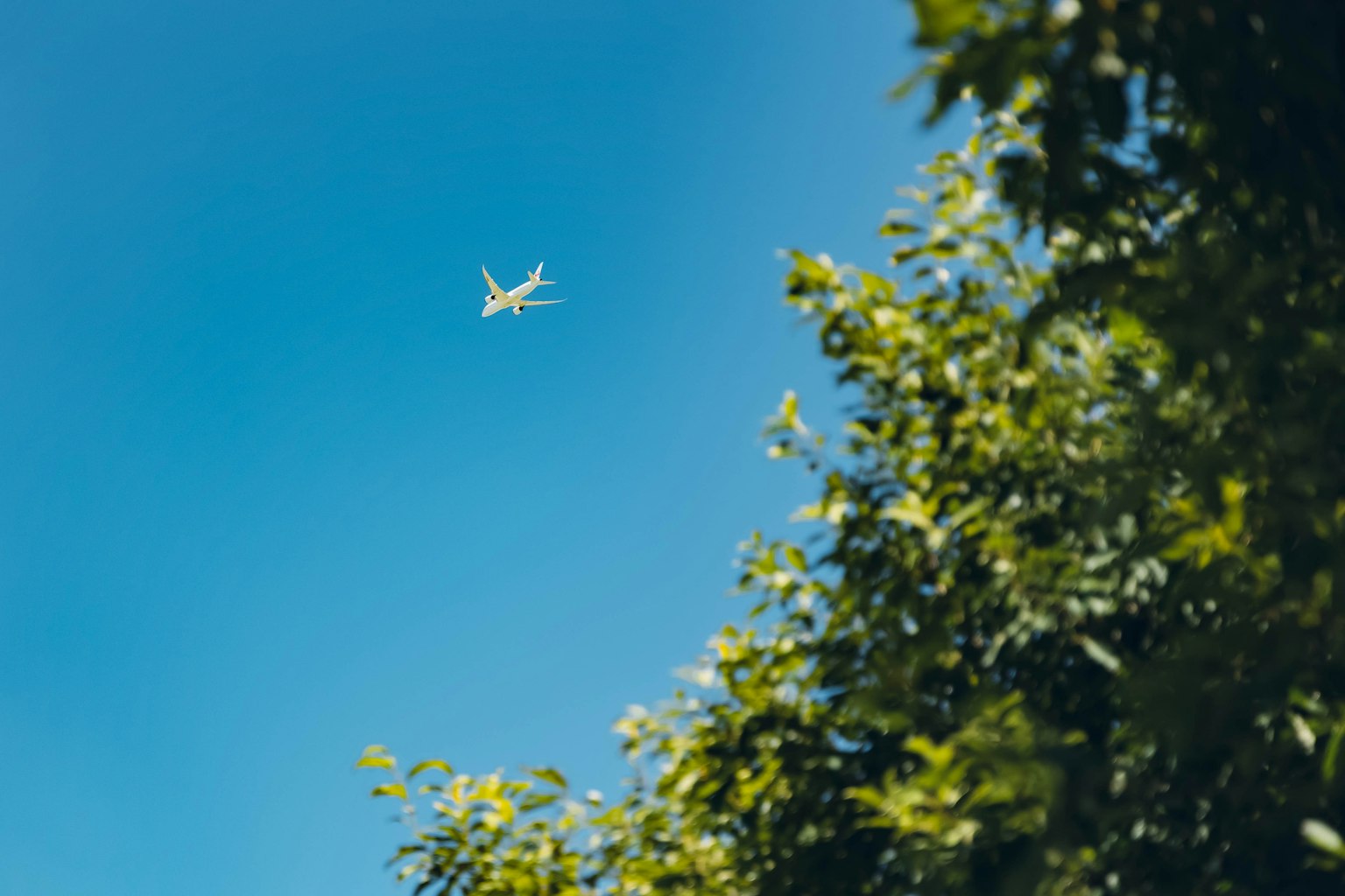 Avion volant dans un ciel bleu avec des arbres verts