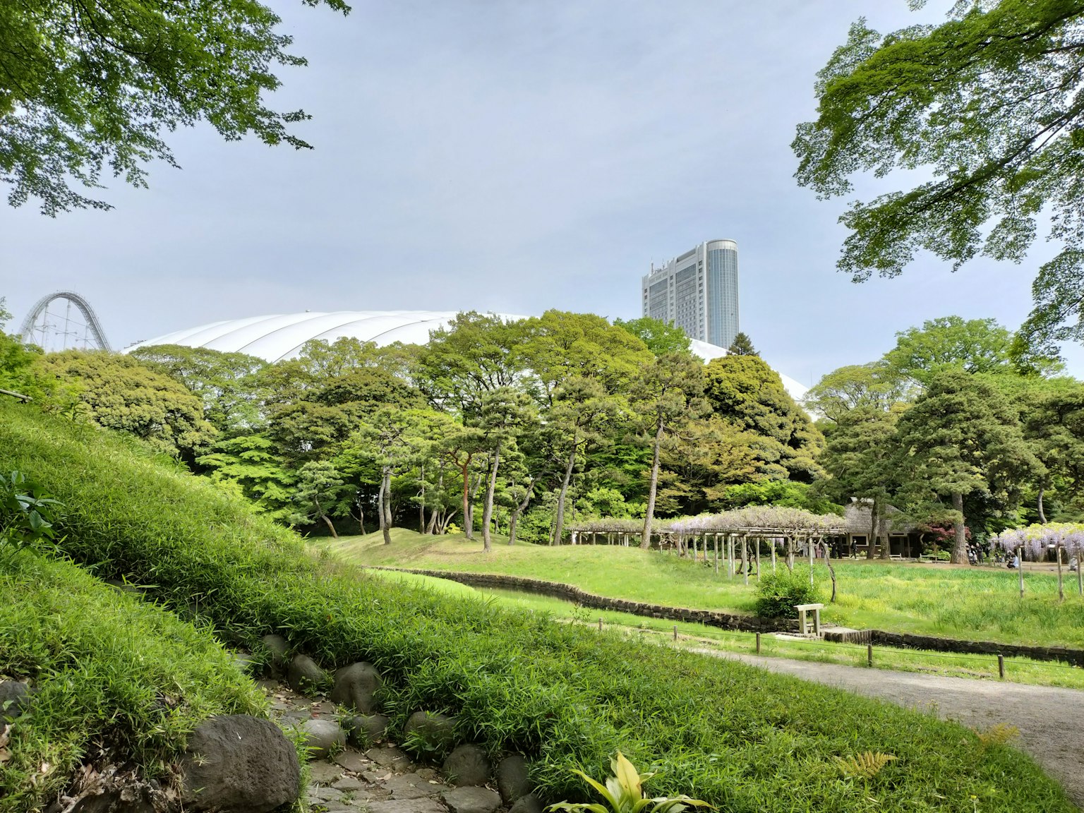 郁郁葱葱的公园景观，背景有高楼大厦