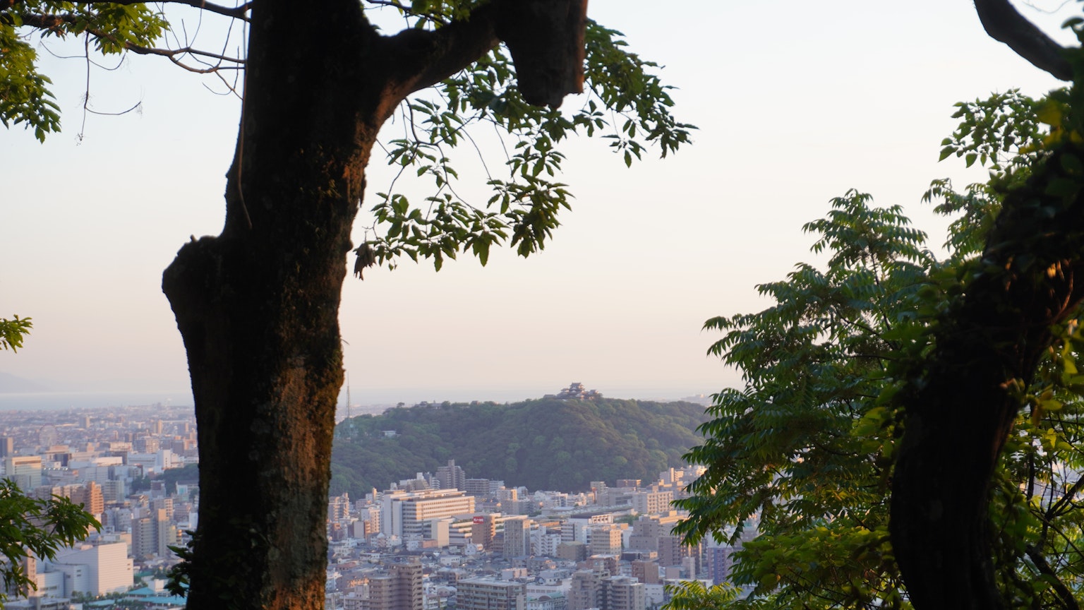 Urban landscape viewed through trees with a mountain silhouette