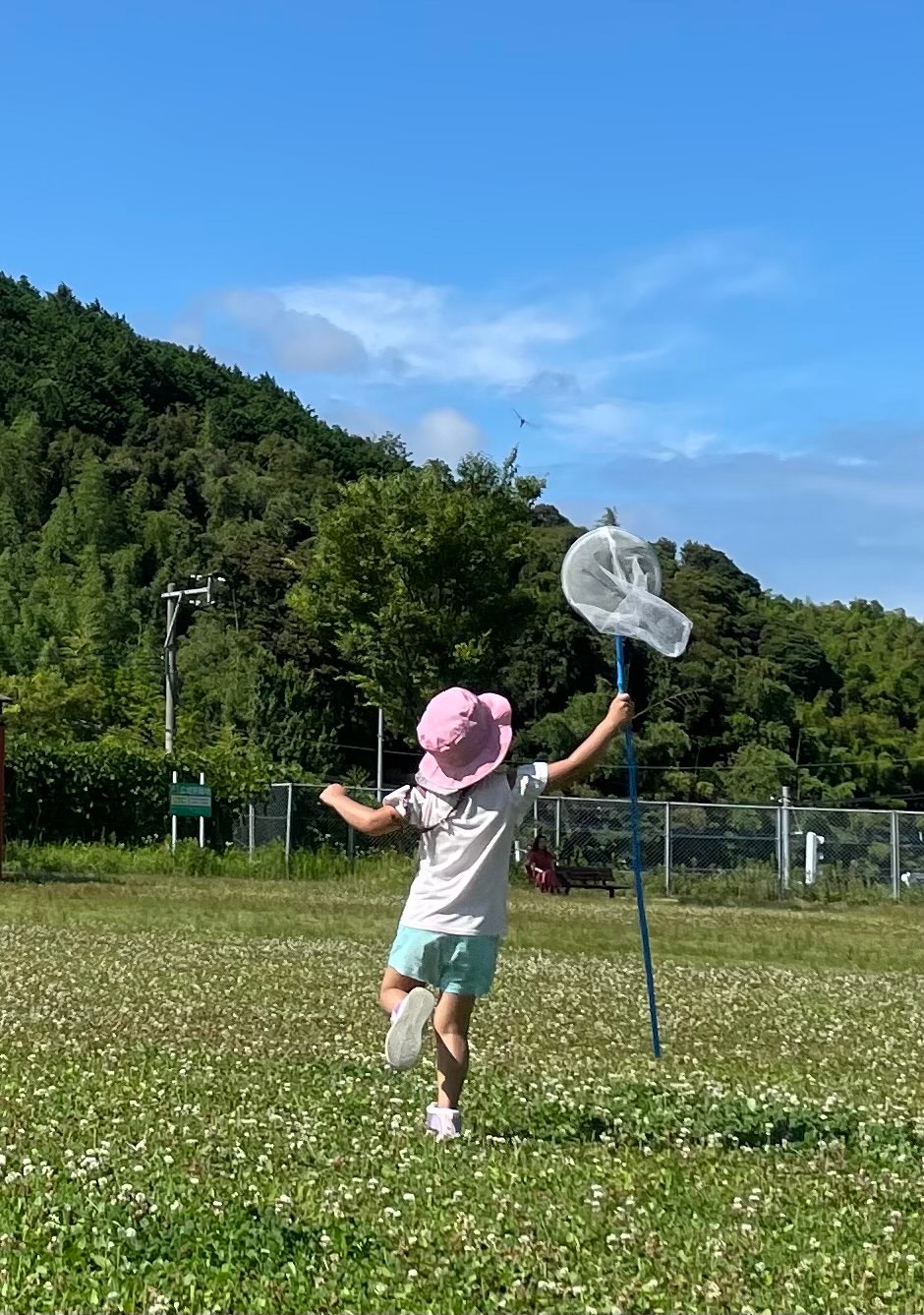 草地で虫取り網を振る子ども