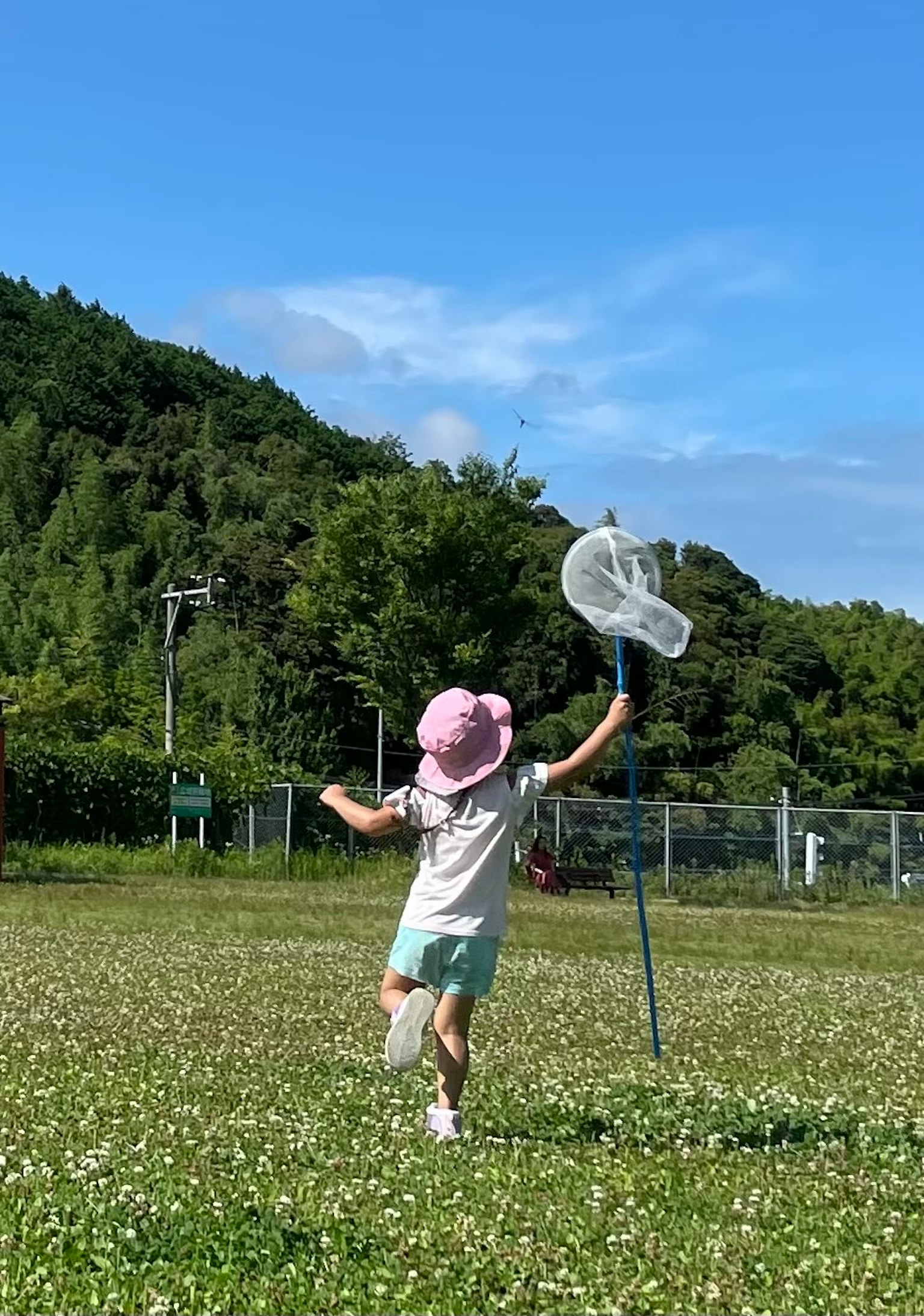 Trẻ em chơi với cái lưới trong công viên