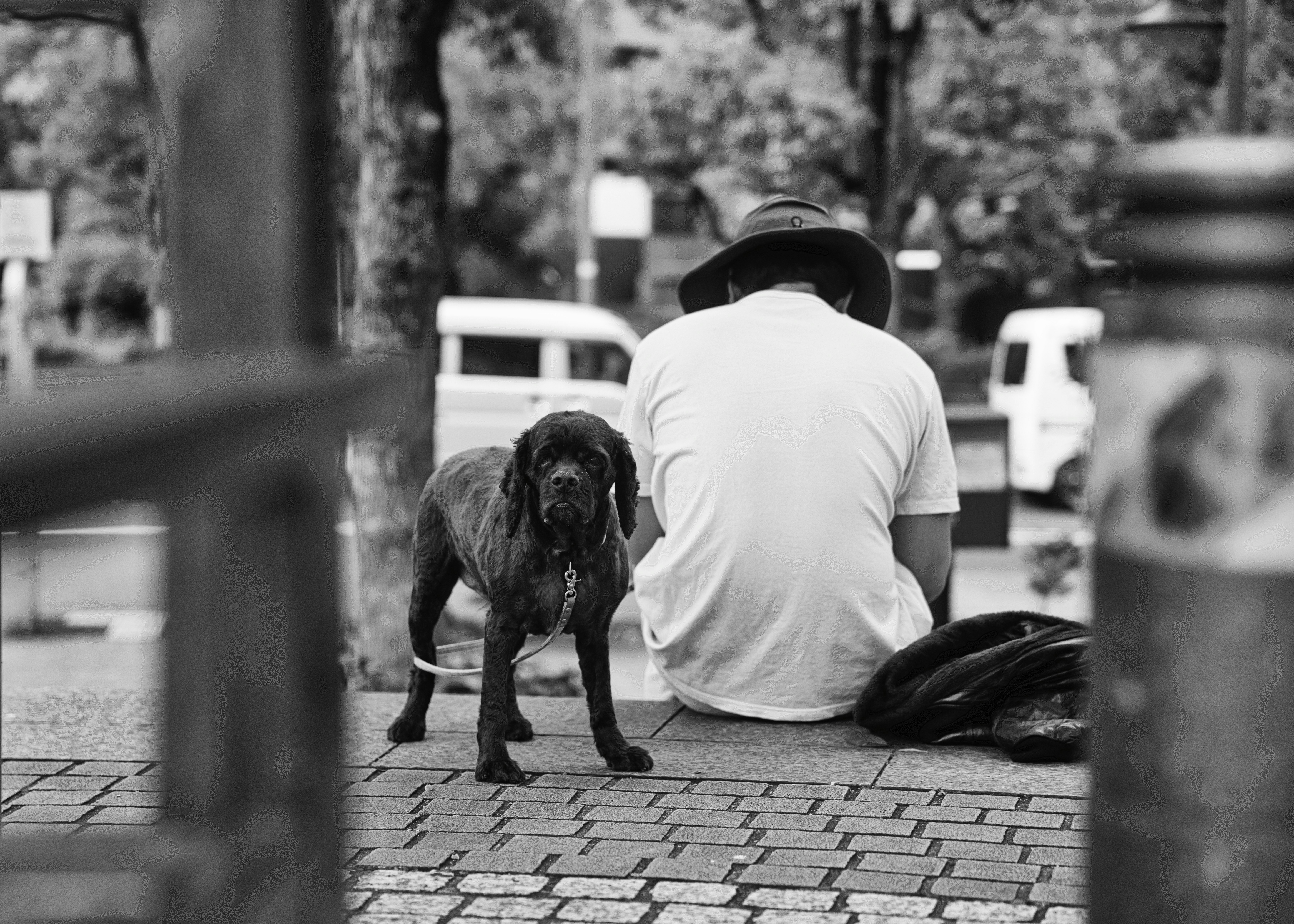 Eine Person geht mit einem Hund auf einer gepflasterten Straße