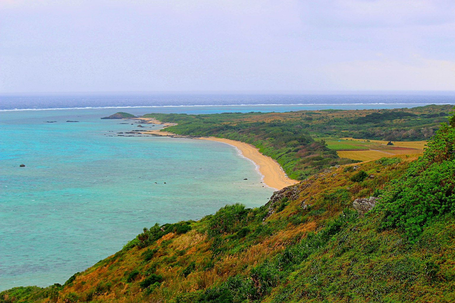 美麗的海灘景色，碧綠的海水和綠色的丘陵