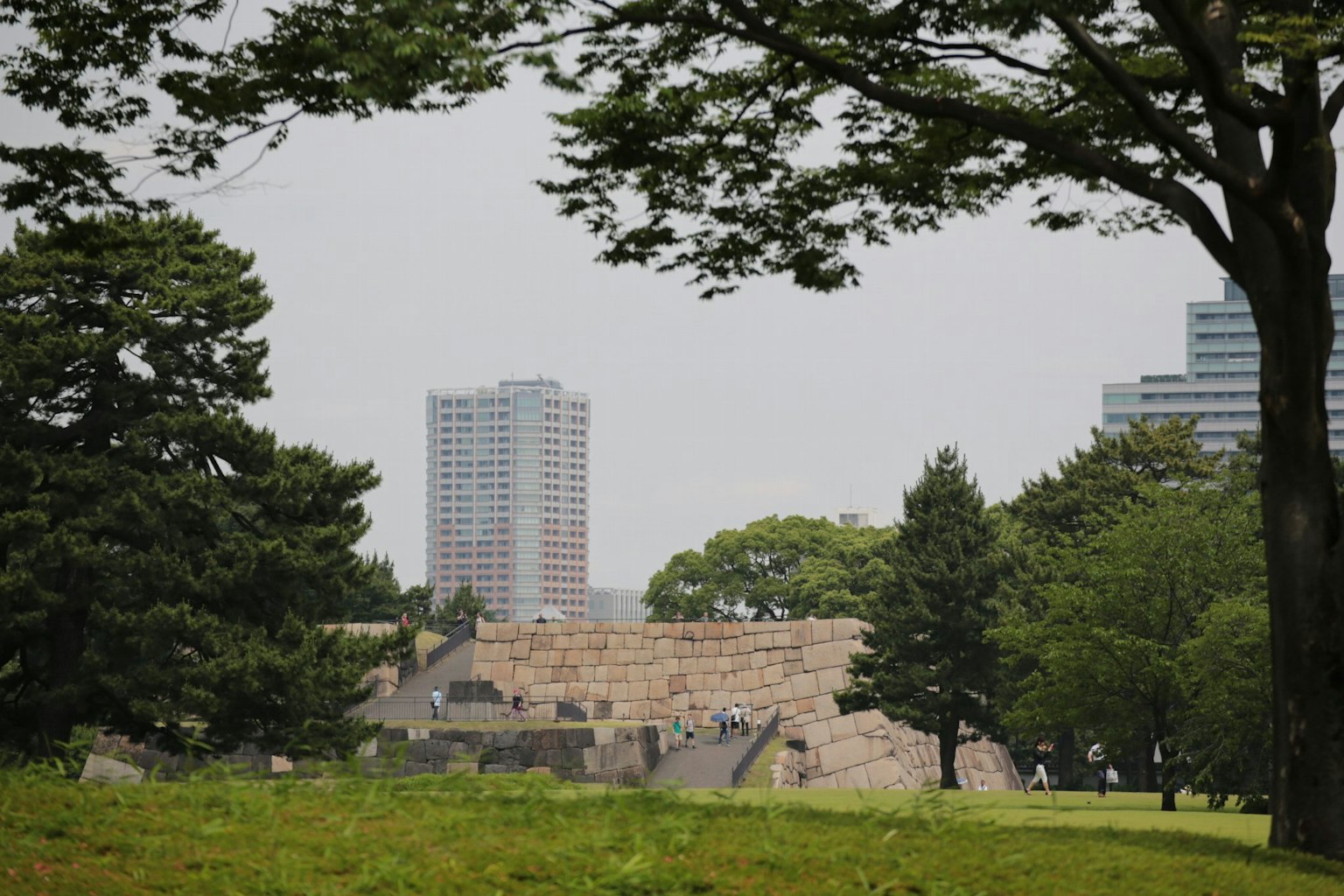 一個被郁郁蔥蔥的綠地環繞的現代建築和歷史遺址的風景