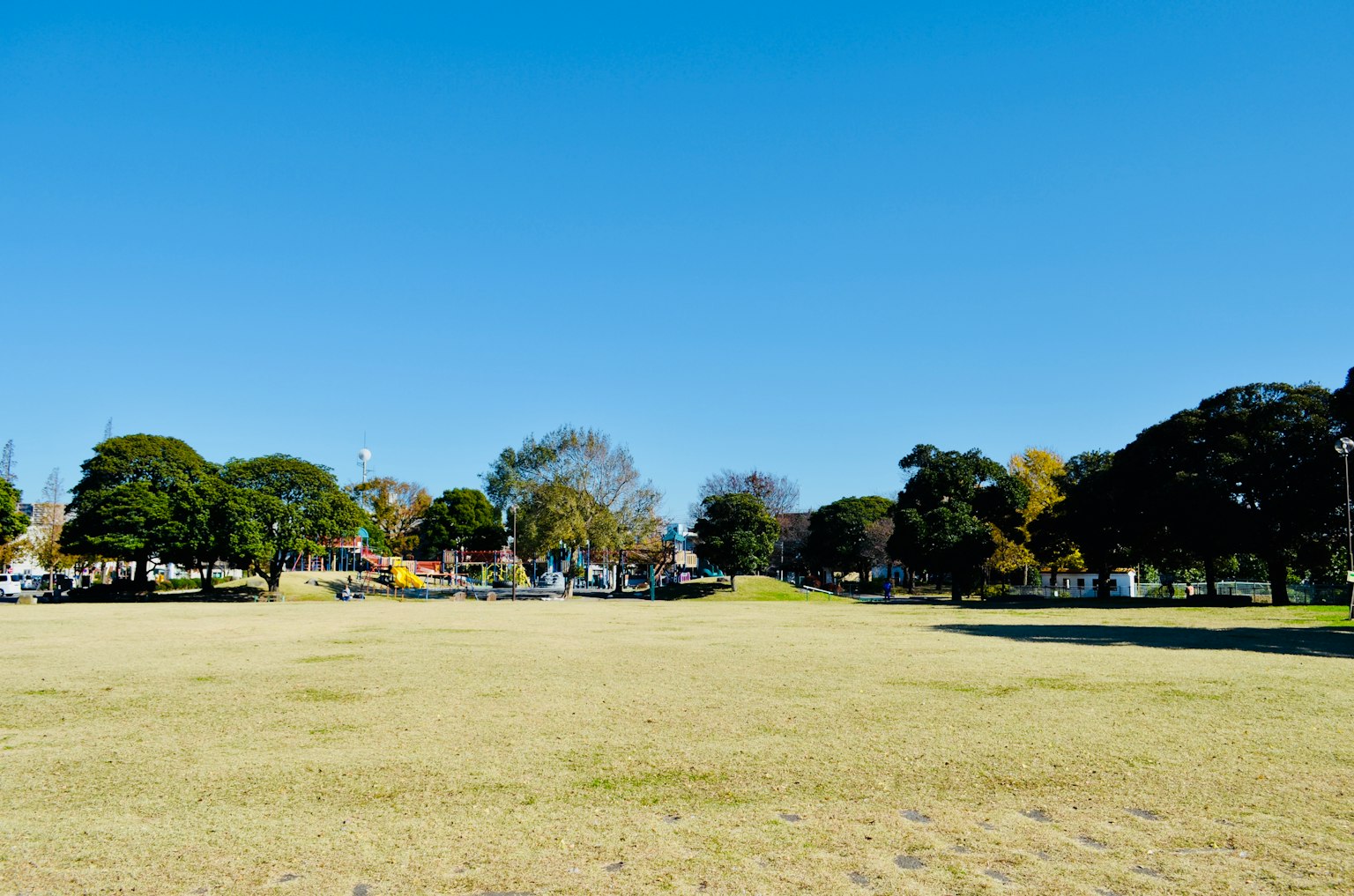 Parklandschaft unter einem klaren blauen Himmel mit grünen Bäumen und offener Wiese