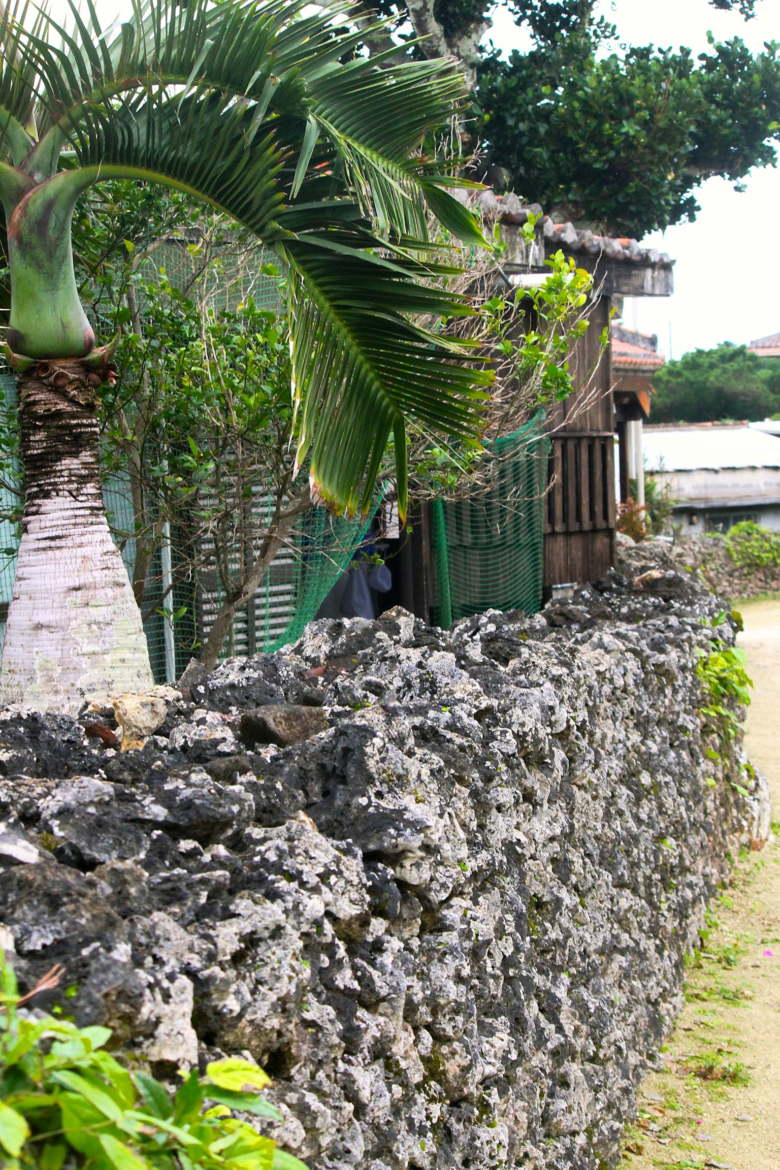 Scenic view featuring a stone wall and lush greenery