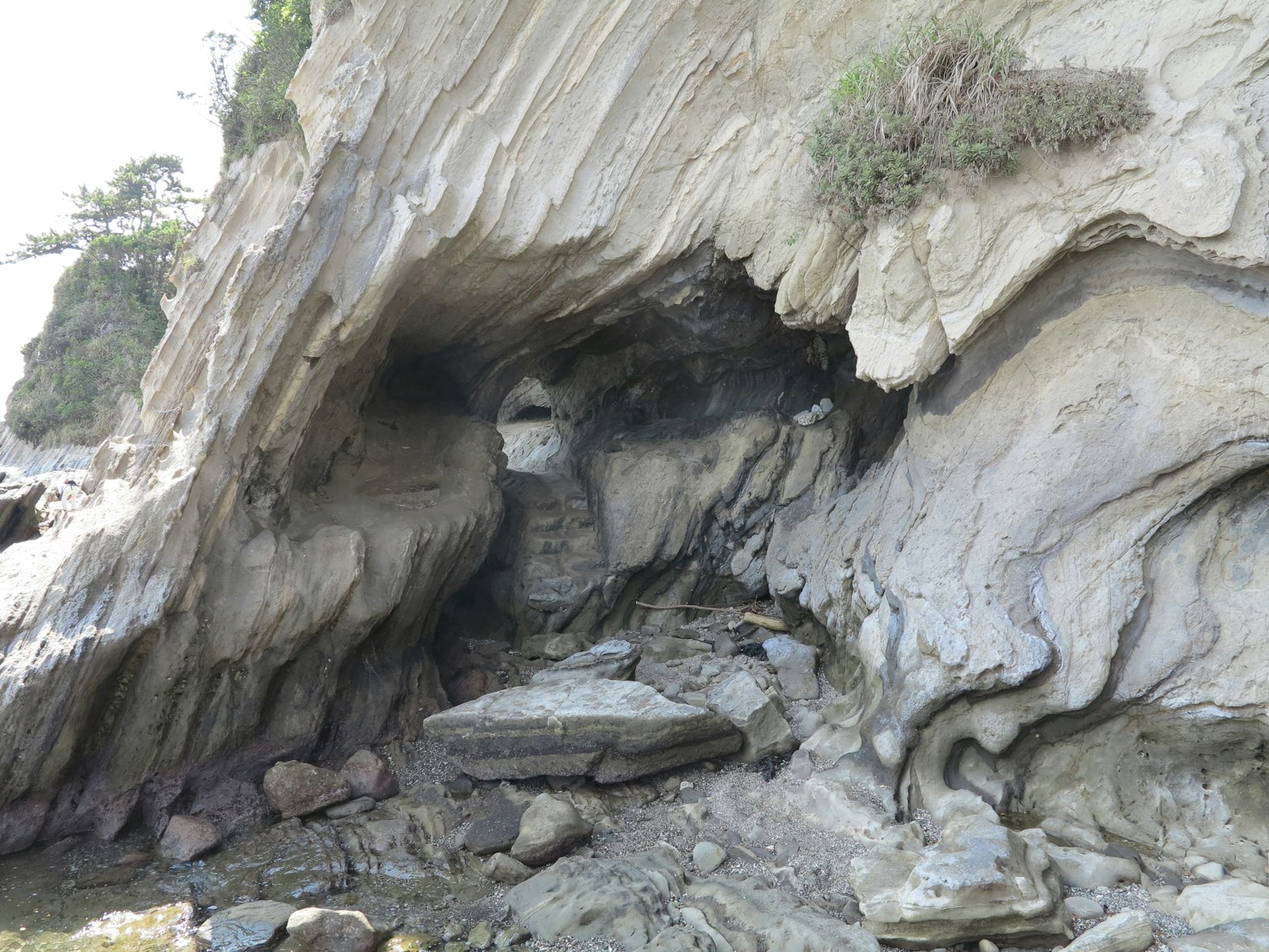 Formación de cueva con superficie rocosa texturizada y vegetación costera