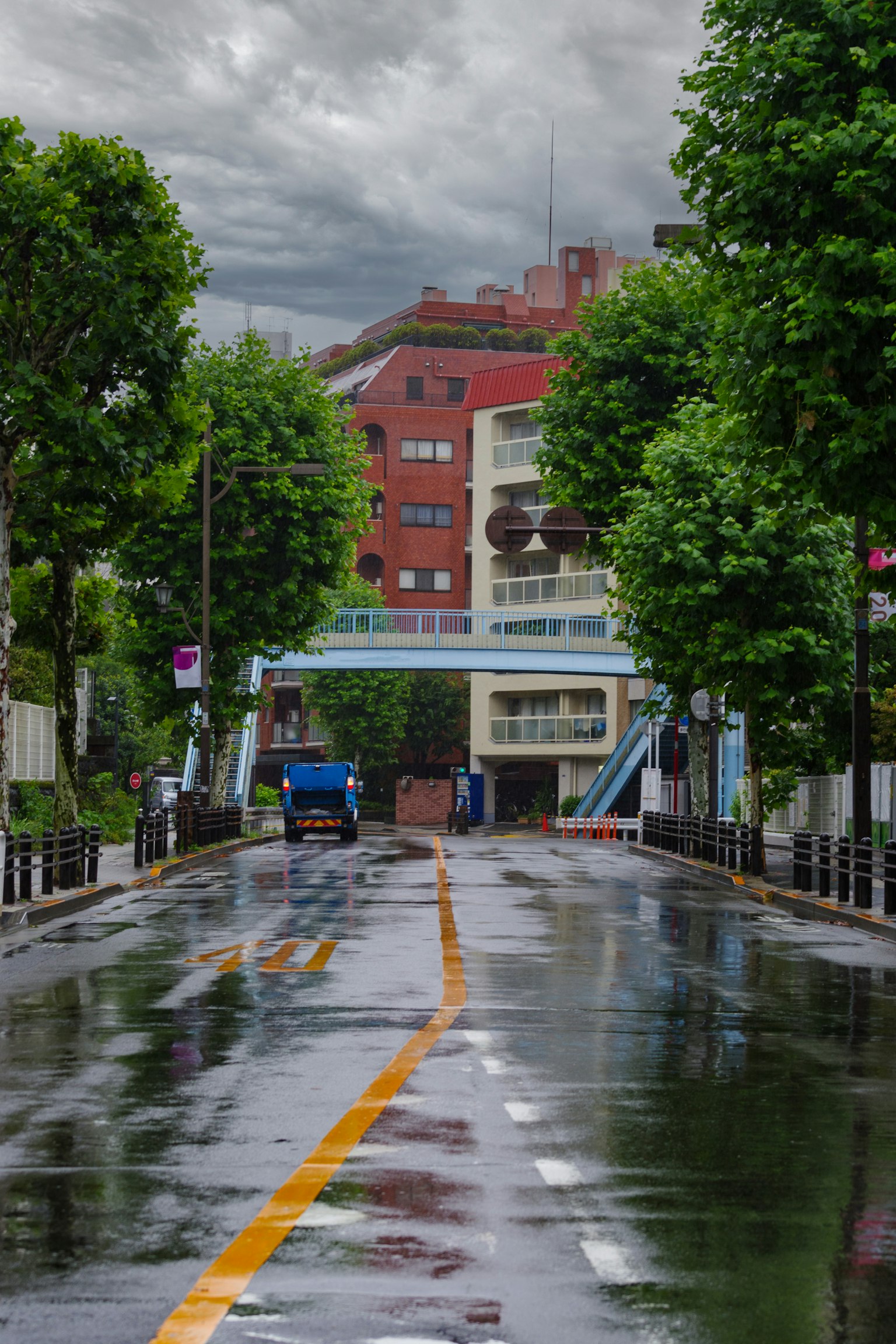 Rue tranquille avec un pavé mouillé et bordée d'arbres verts