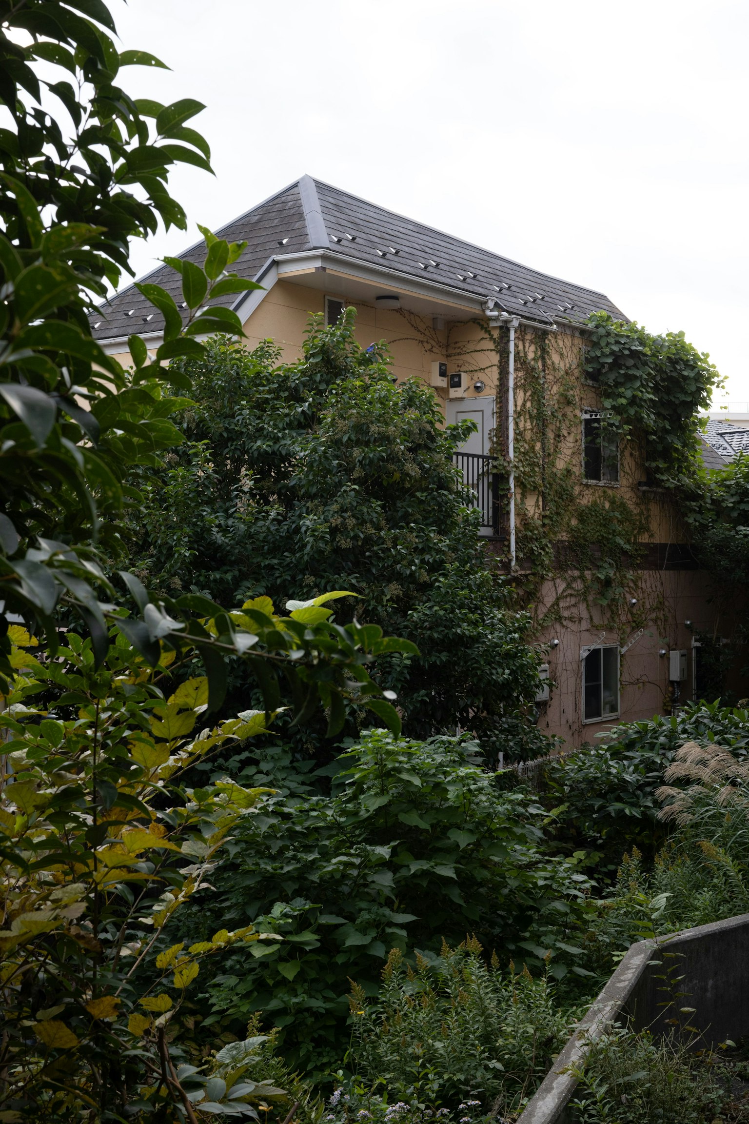 Antiguo edificio cubierto de vegetación con plantas que se integran en el entorno natural