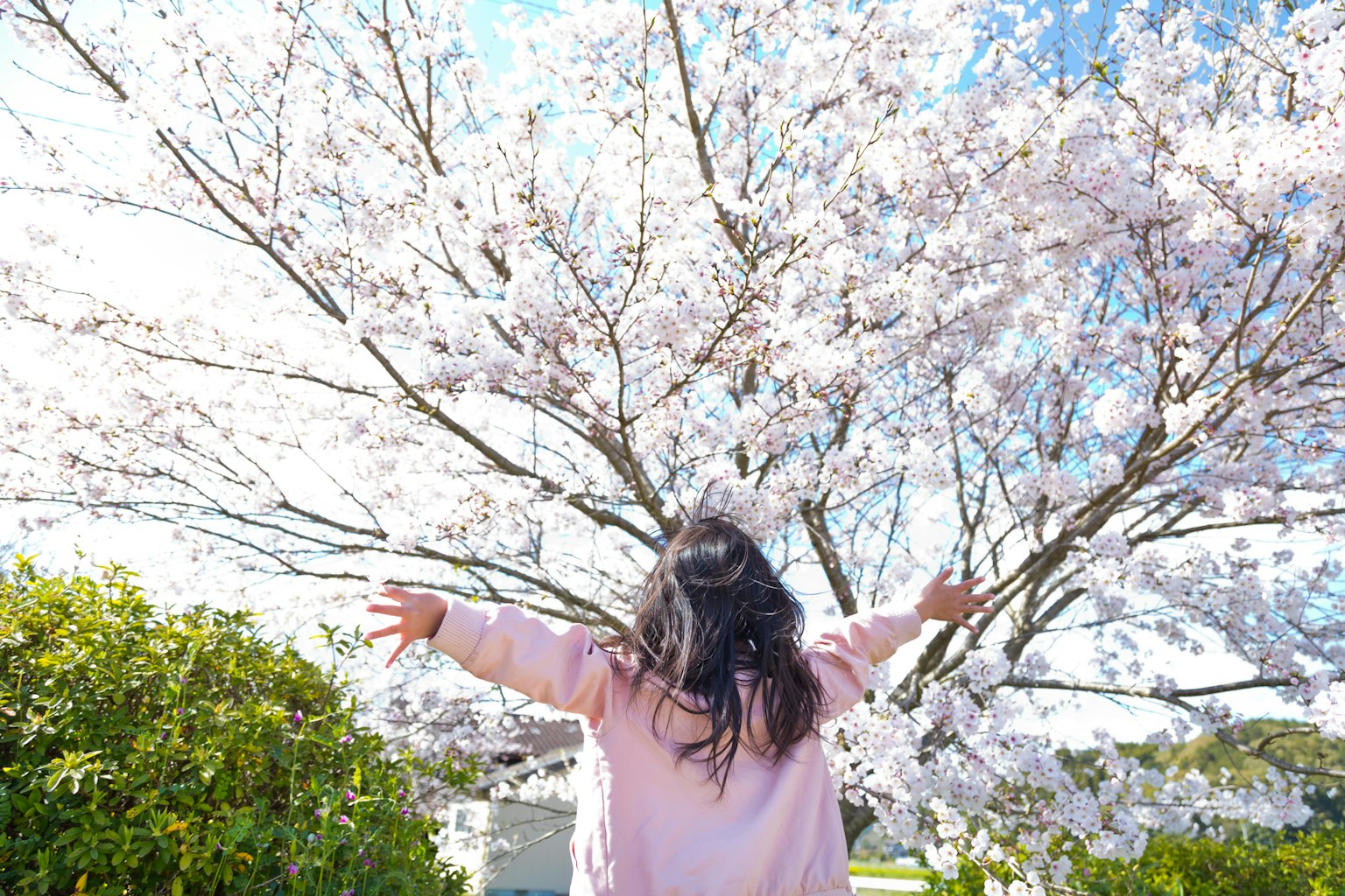 Ragazza felice sotto un albero di ciliegio in fiore