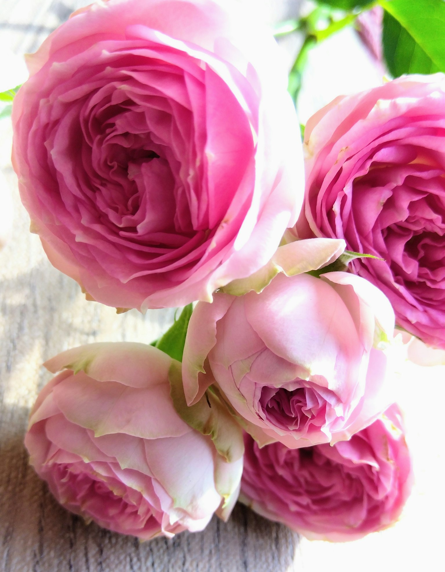 Un bouquet de roses roses douces disposé sur une table en bois