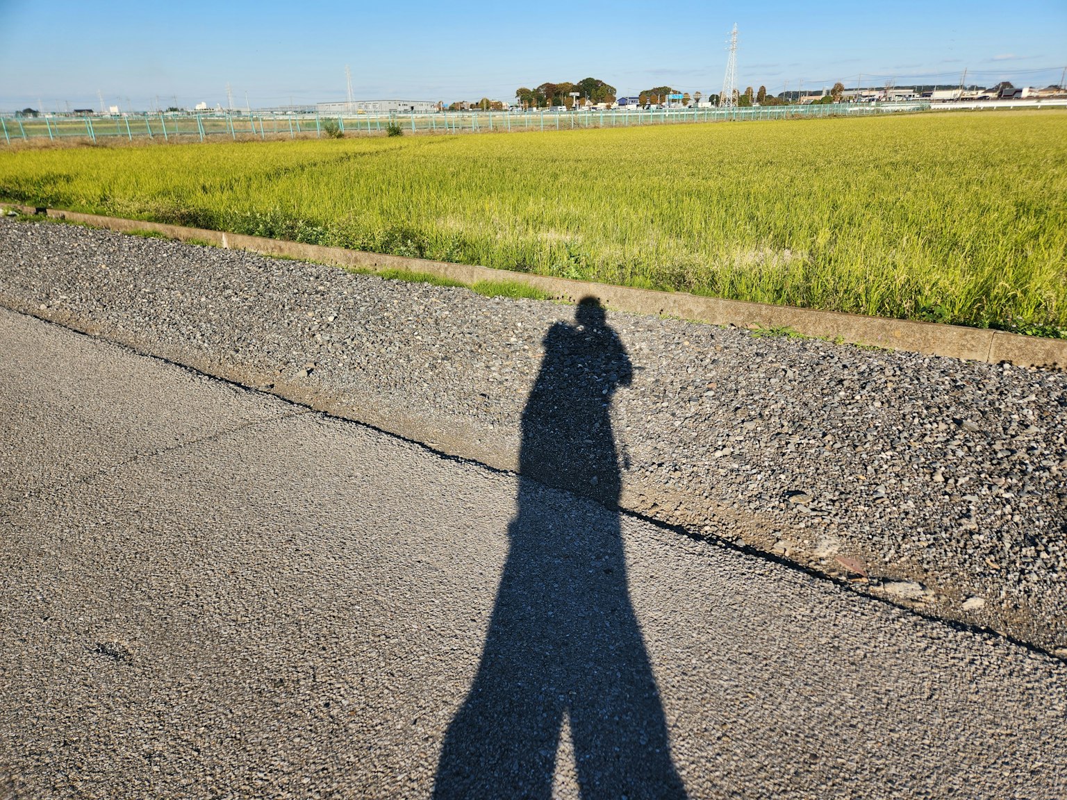 Ombre d'une personne se tenant à côté d'un champ de riz sous un ciel bleu