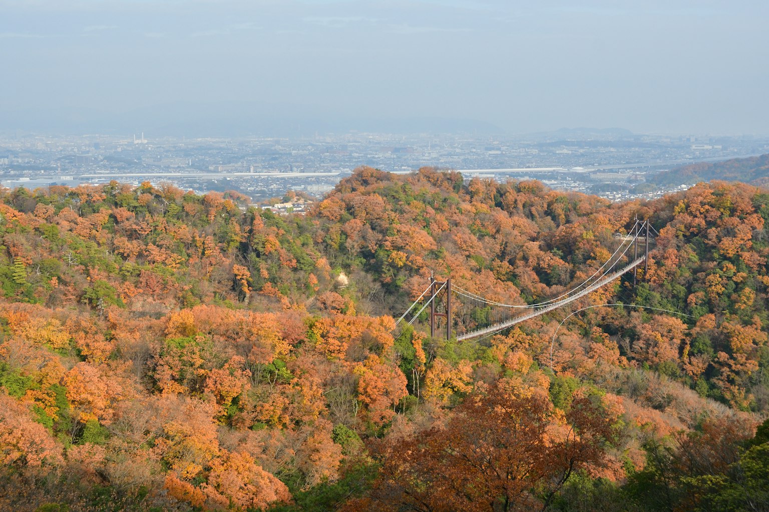 Scenic view of autumn foliage with a suspension bridge
