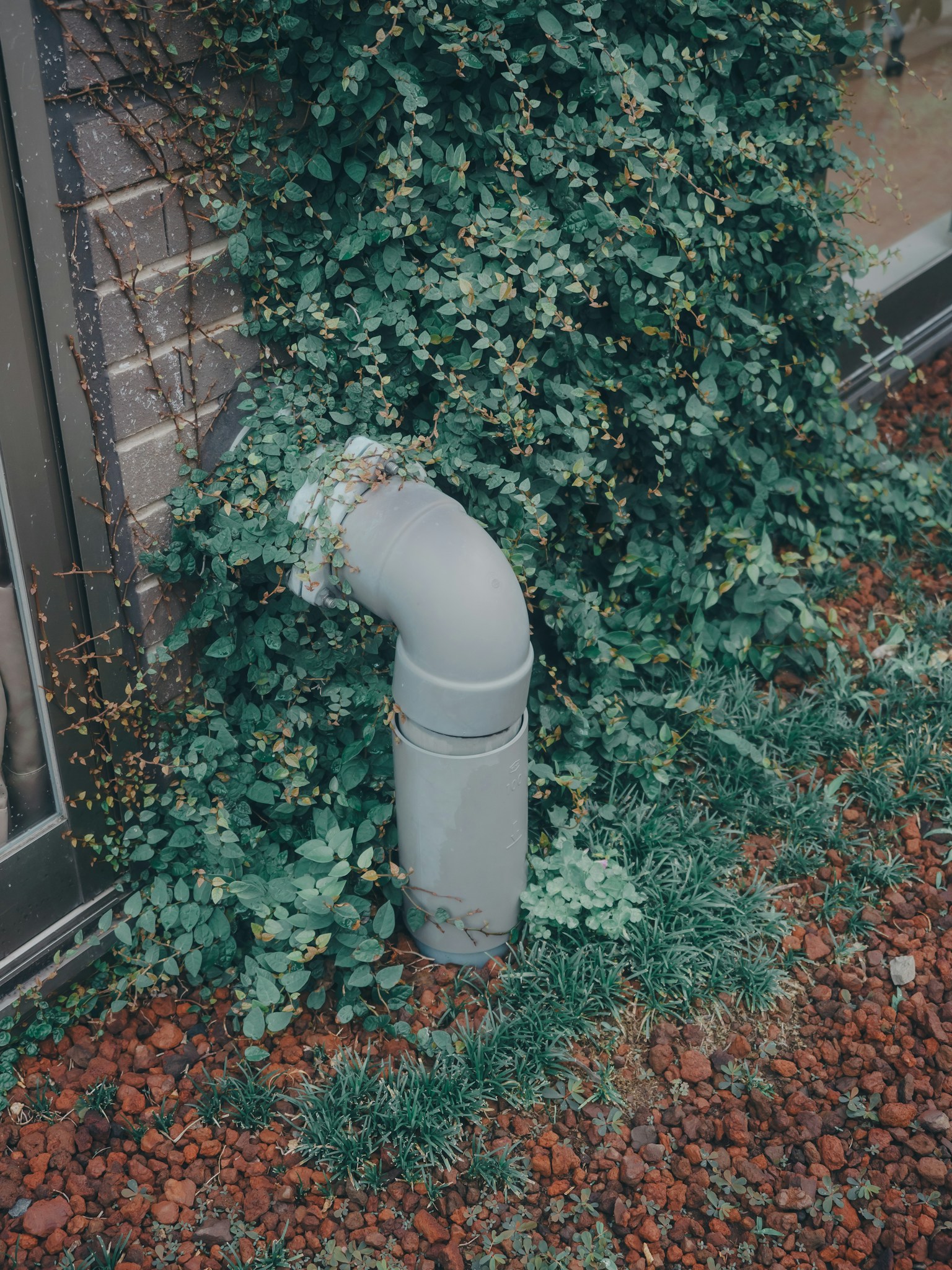 photo-g3axfNxMJA7VaN1fDYBP-image