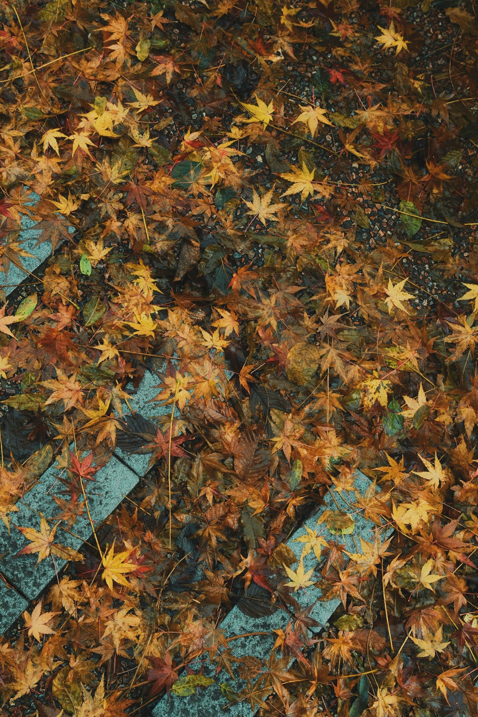 photo-g4qUekU6A43KzNzARk8s-image