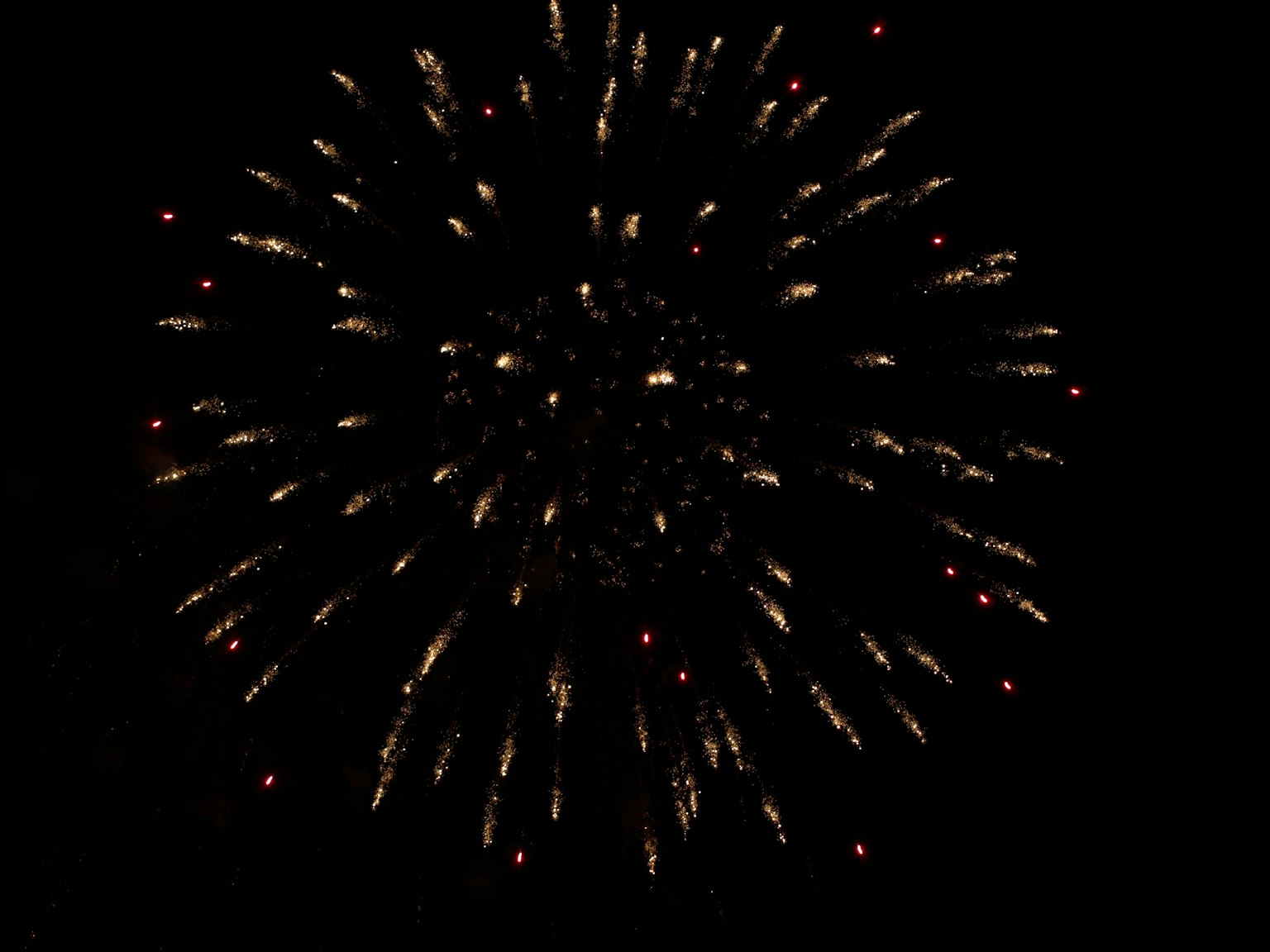 Bellissimo spettacolo di fuochi d'artificio che esplodono su uno sfondo nero