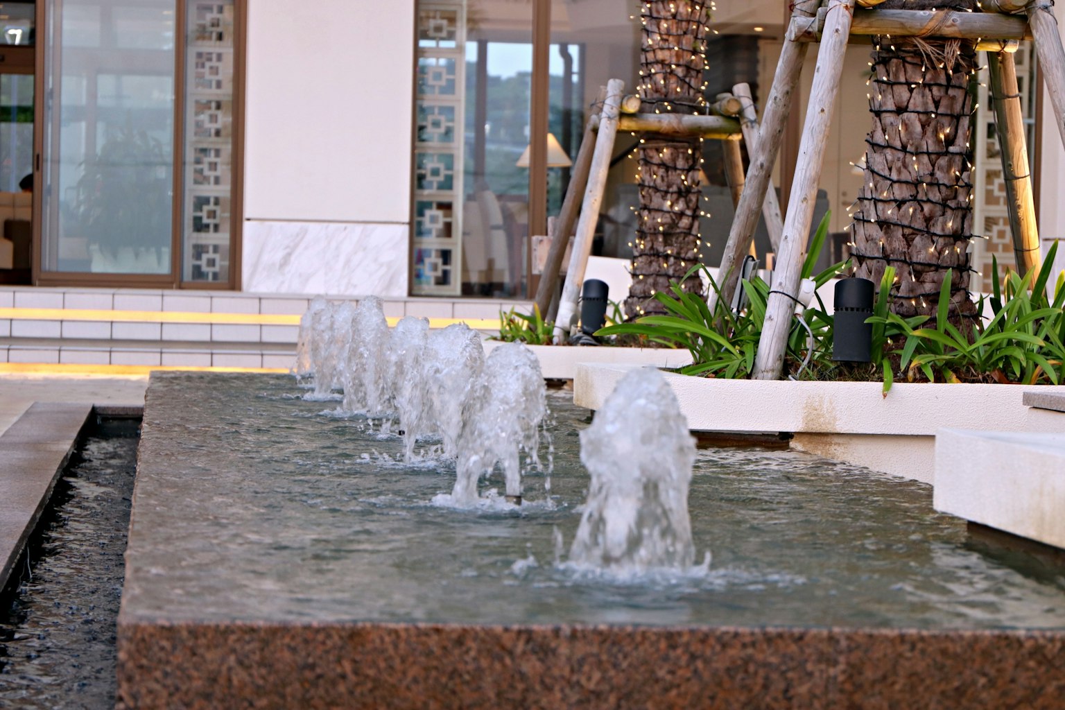 Scena di cortile moderno con fontana e vegetazione