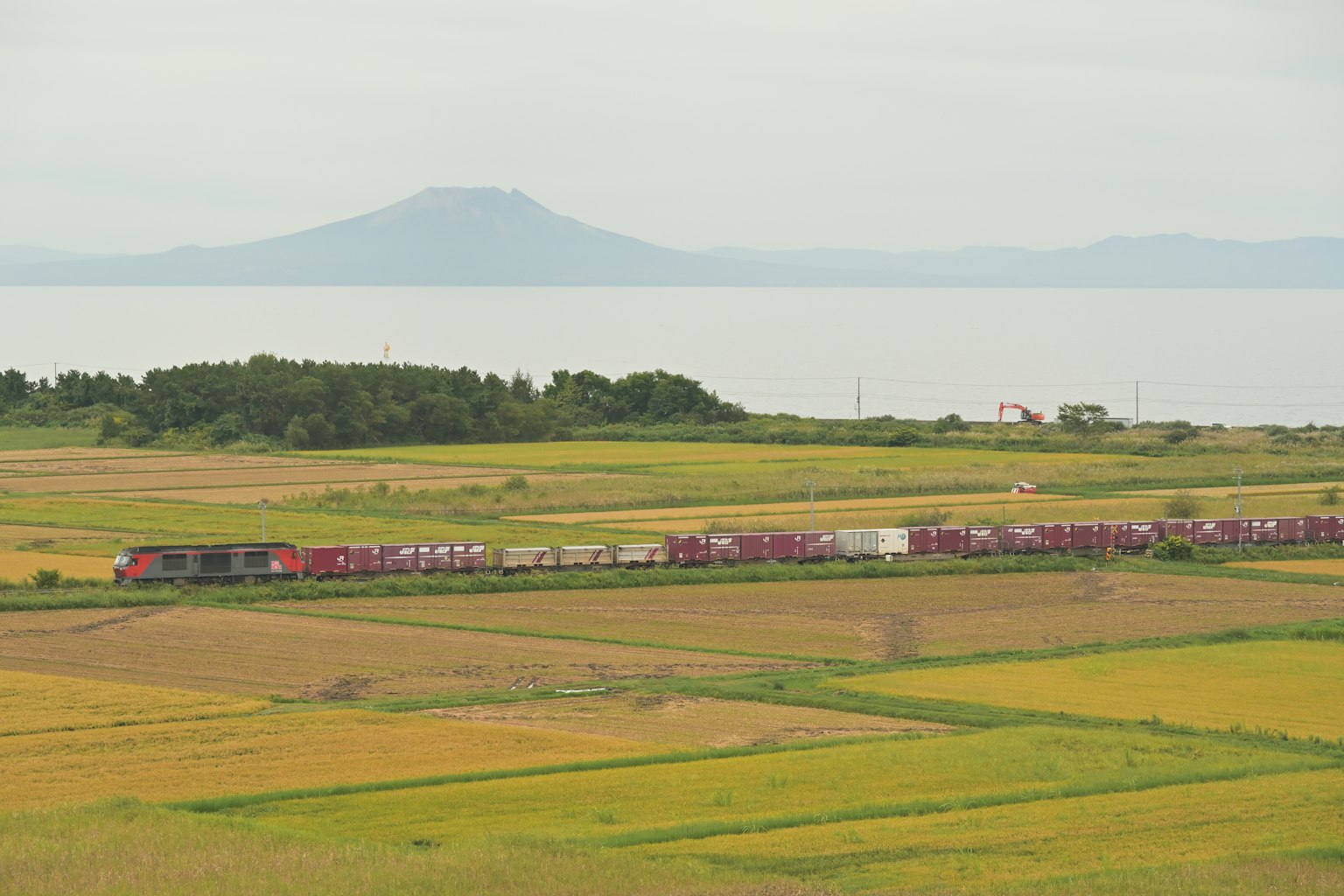Train traveling through vibrant fields with a distant mountain in the background
