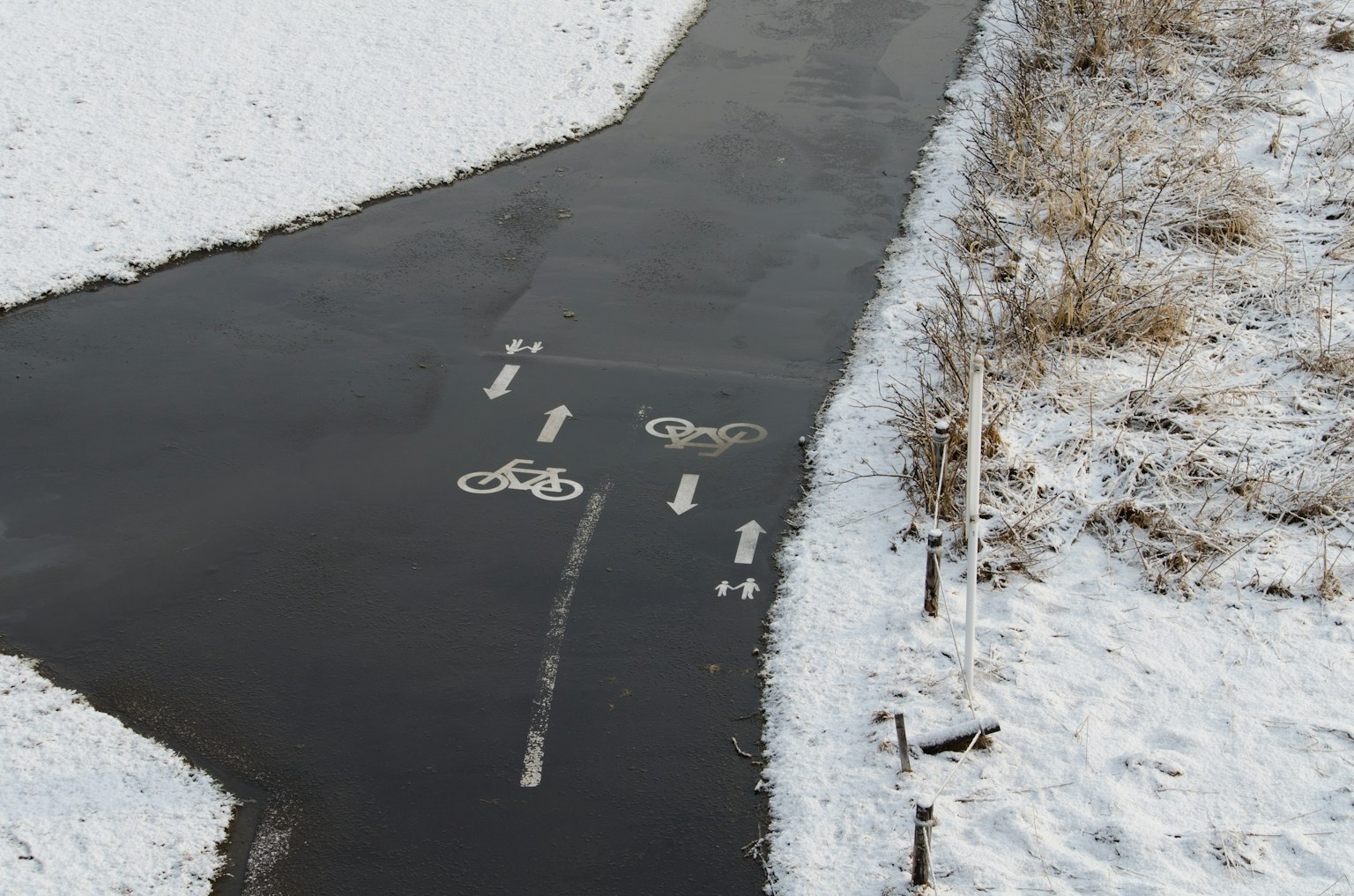 被雪覆盖的小路上有自行车标记