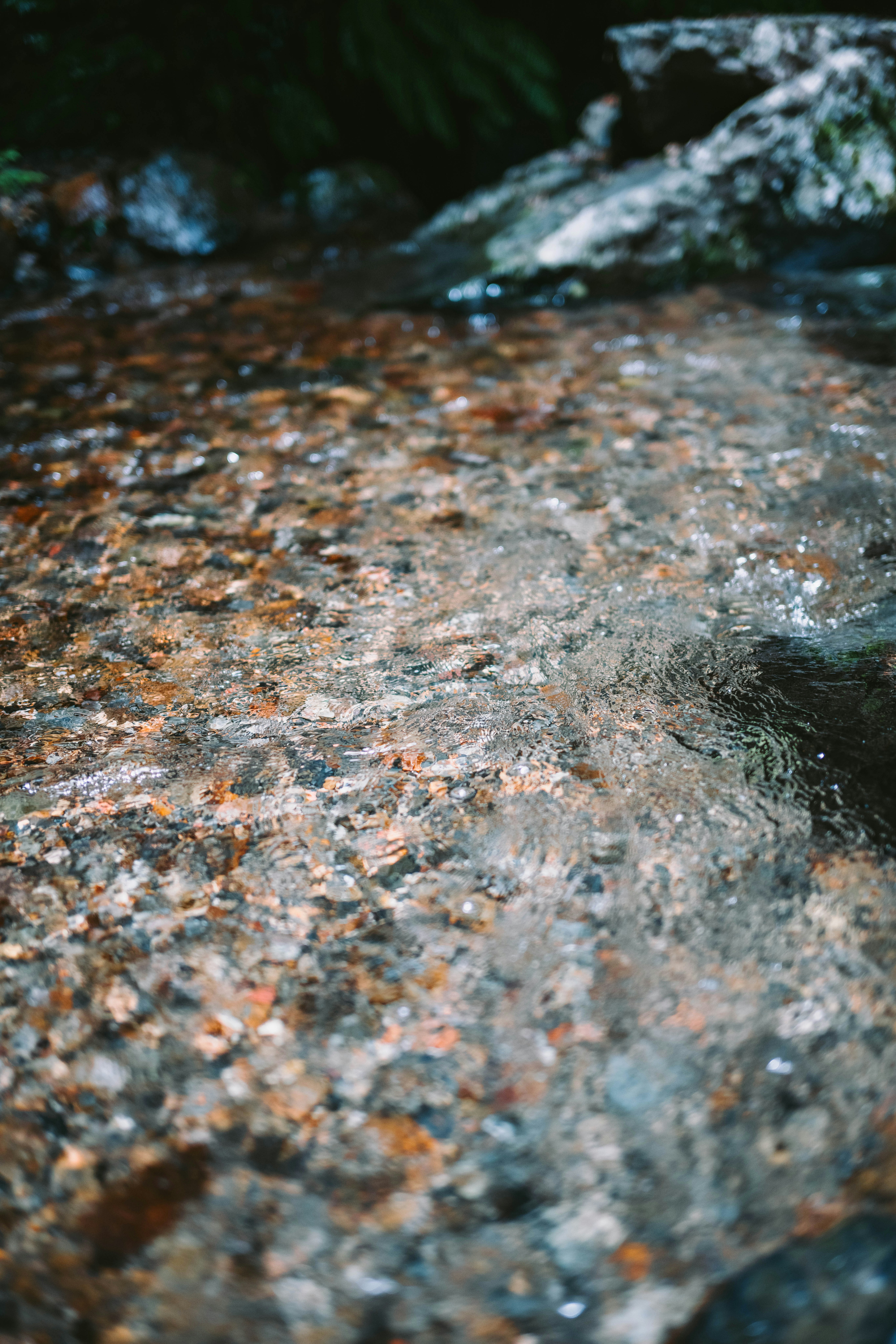 agua fluyendo sobre piedras en la orilla del río