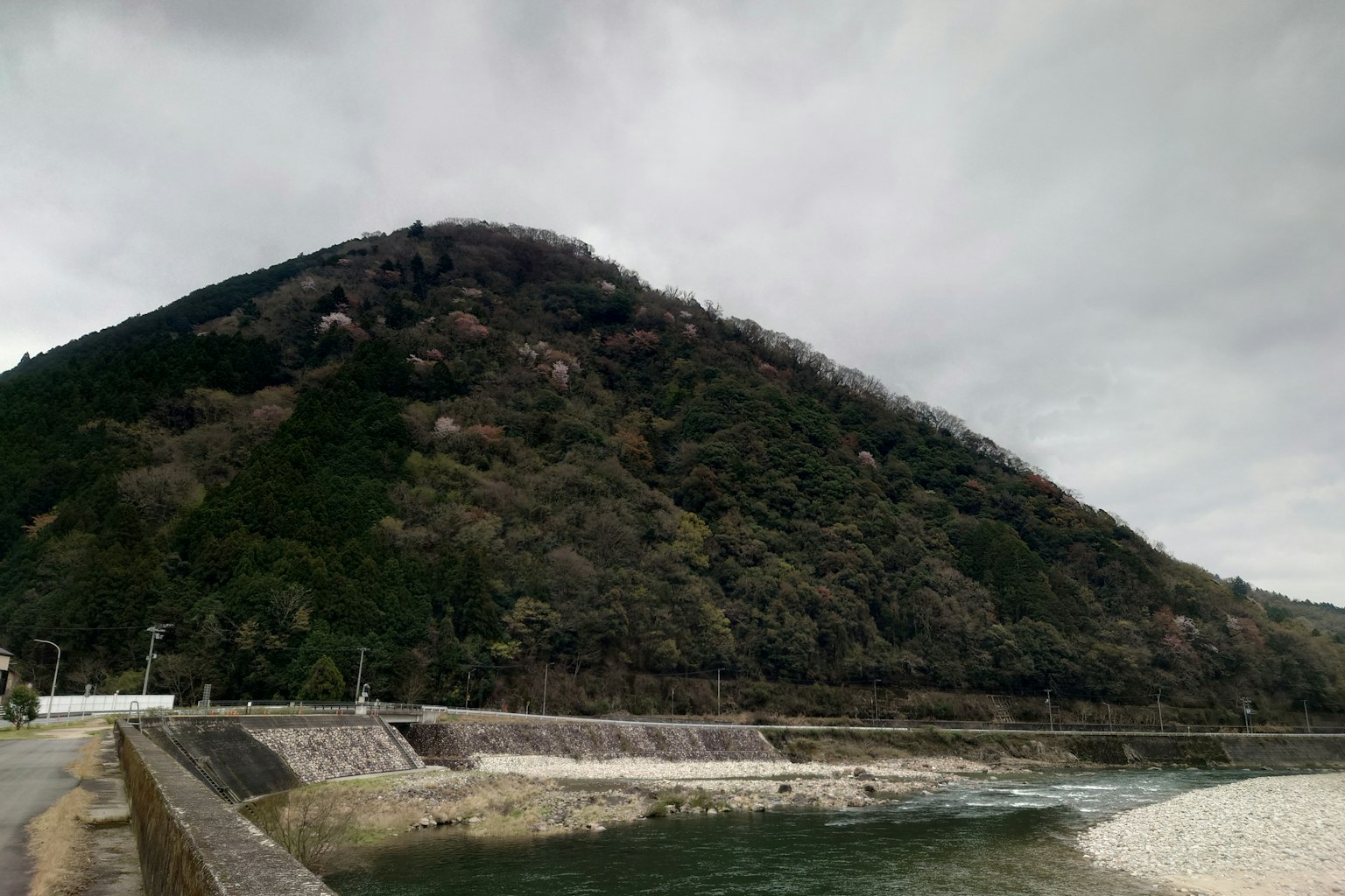 Vue pittoresque d'une rivière et d'une colline avec des arbres verts sous un ciel nuageux gris