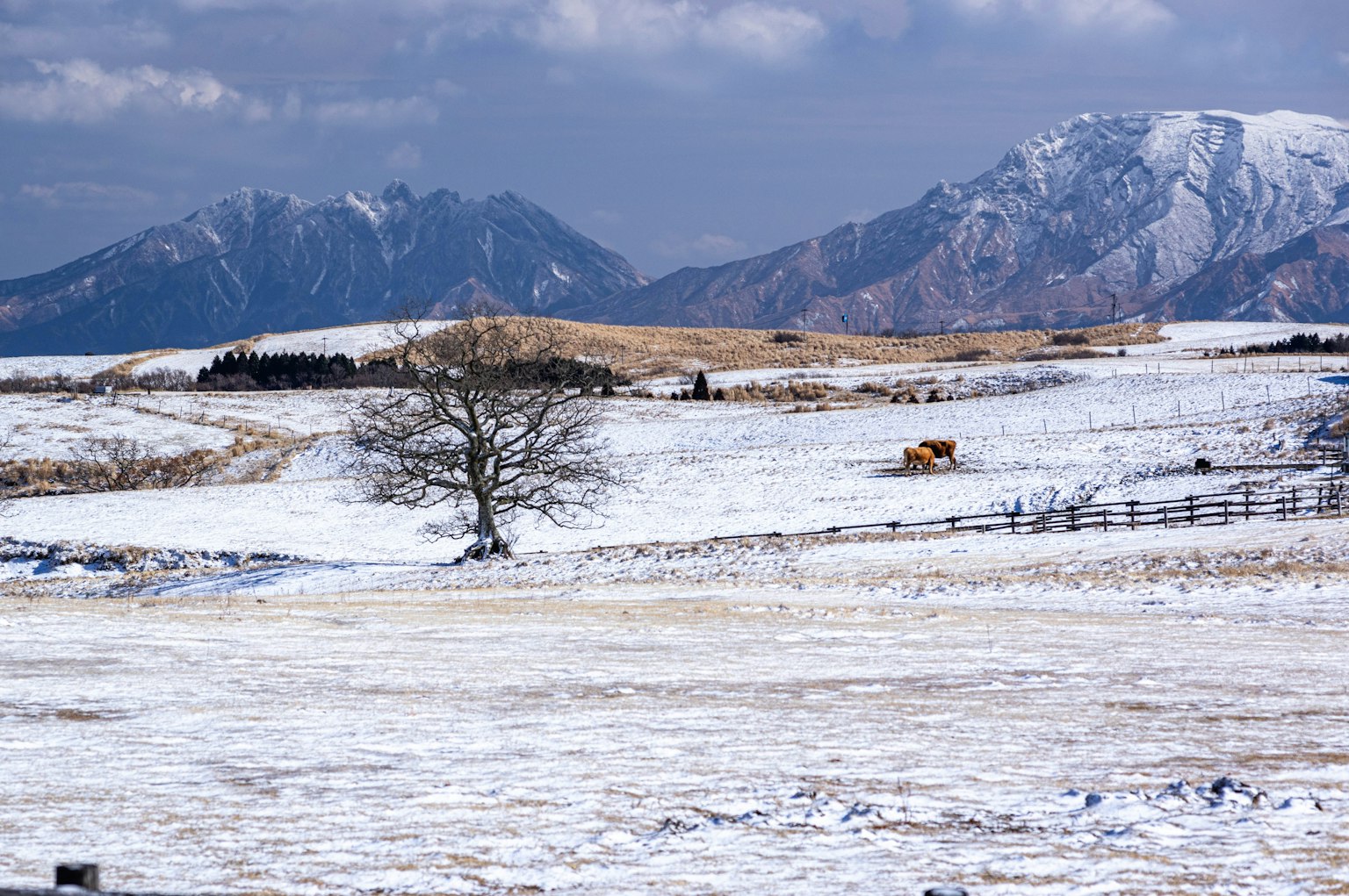 Bellissimo paesaggio invernale con campi innevati e montagne