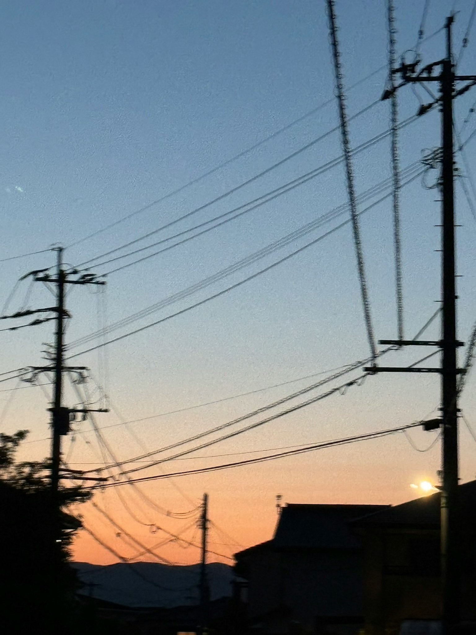 夕暮れ時の電柱と電線が並ぶ風景