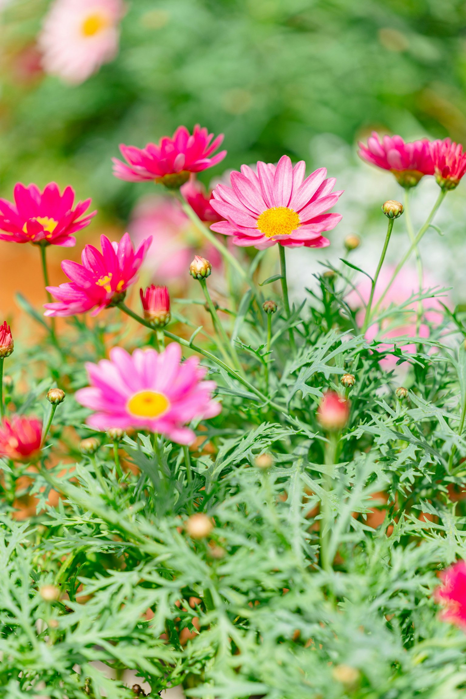 photo-g7ac4S2c25ub17TJALKO-image