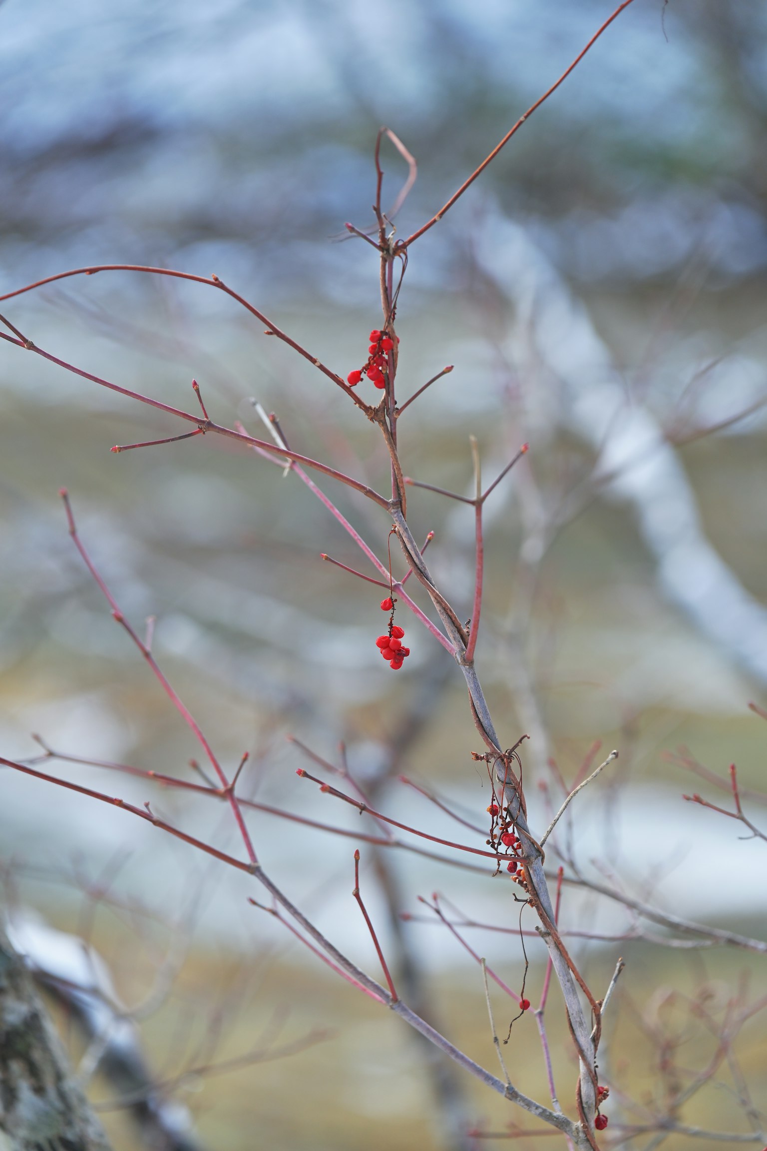 深灰色背景與簡單設計