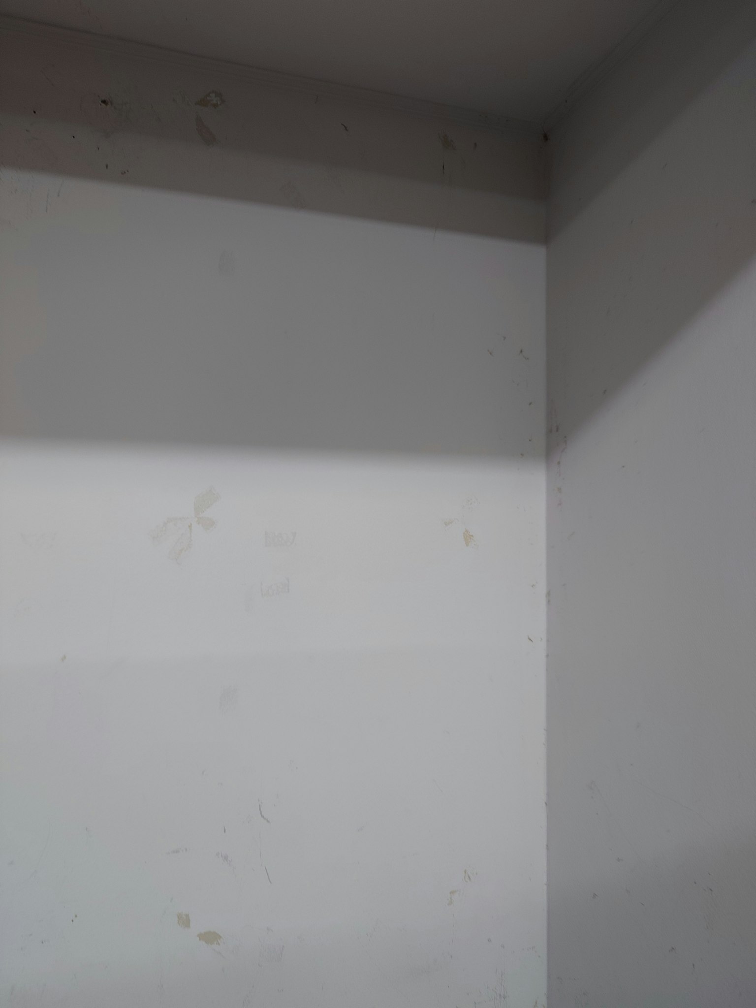 Hình ảnh đơn giản của một góc với tường trắng và bóng