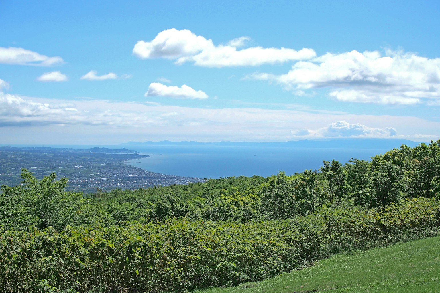 綠色山坡俯瞰藍色海洋和天空的風景