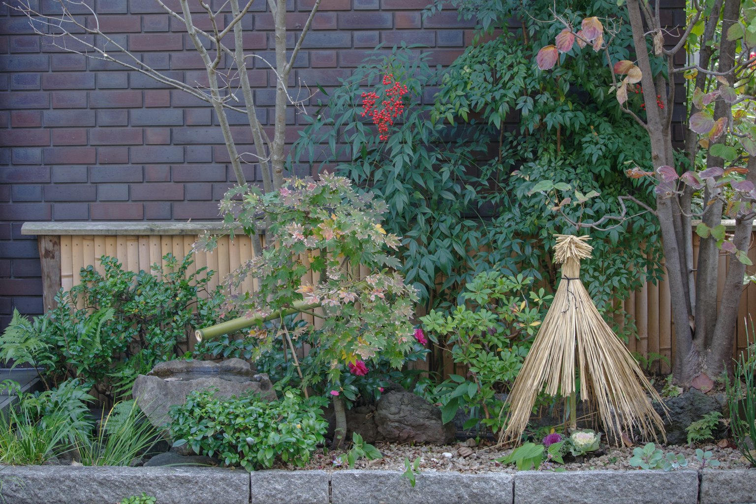 Jardin luxuriant avec une clôture en bambou des pierres et diverses plantes y compris de petits arbres