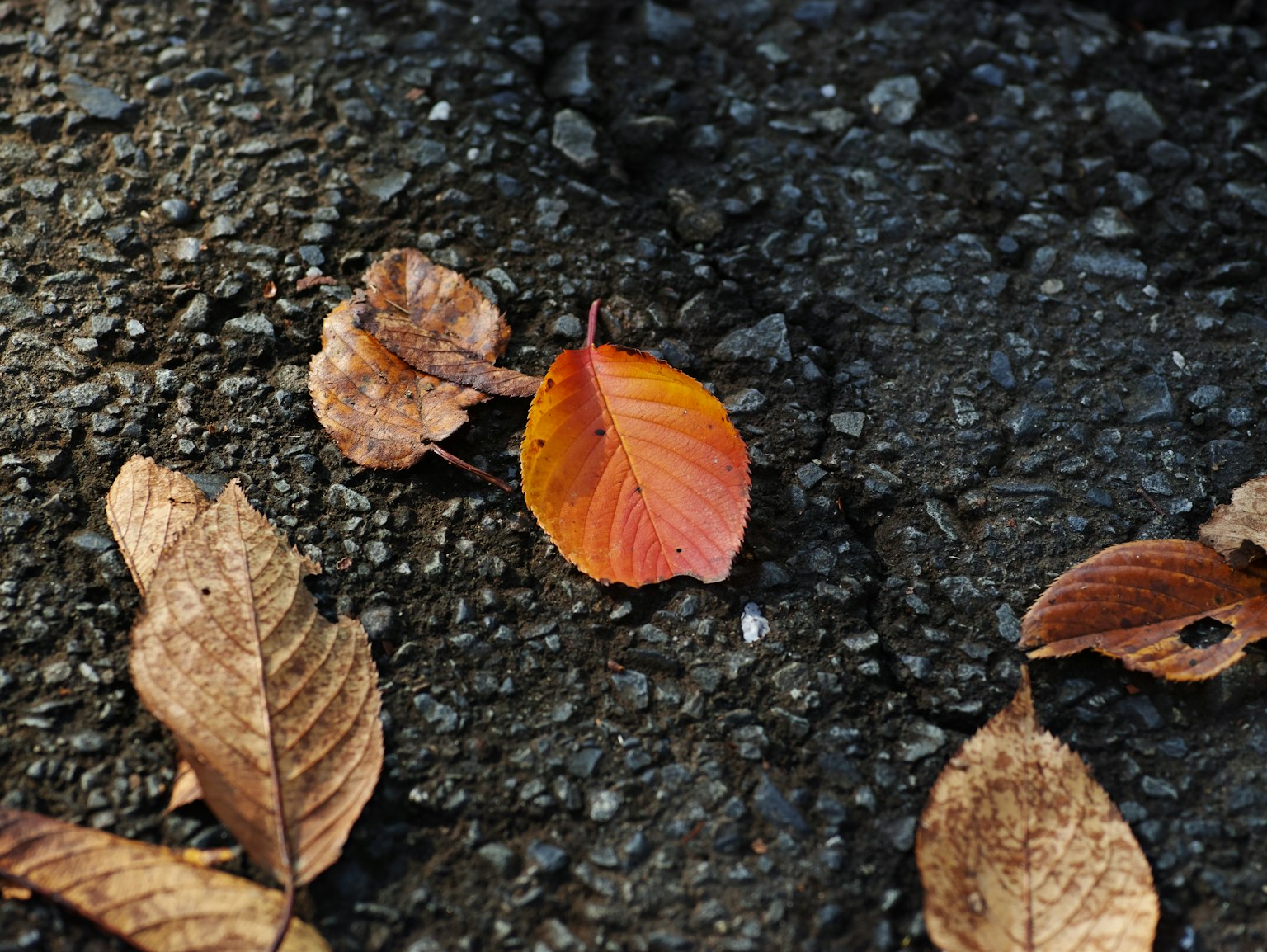 photo-gBU7Vy89hhP8mR5oSfrp-image