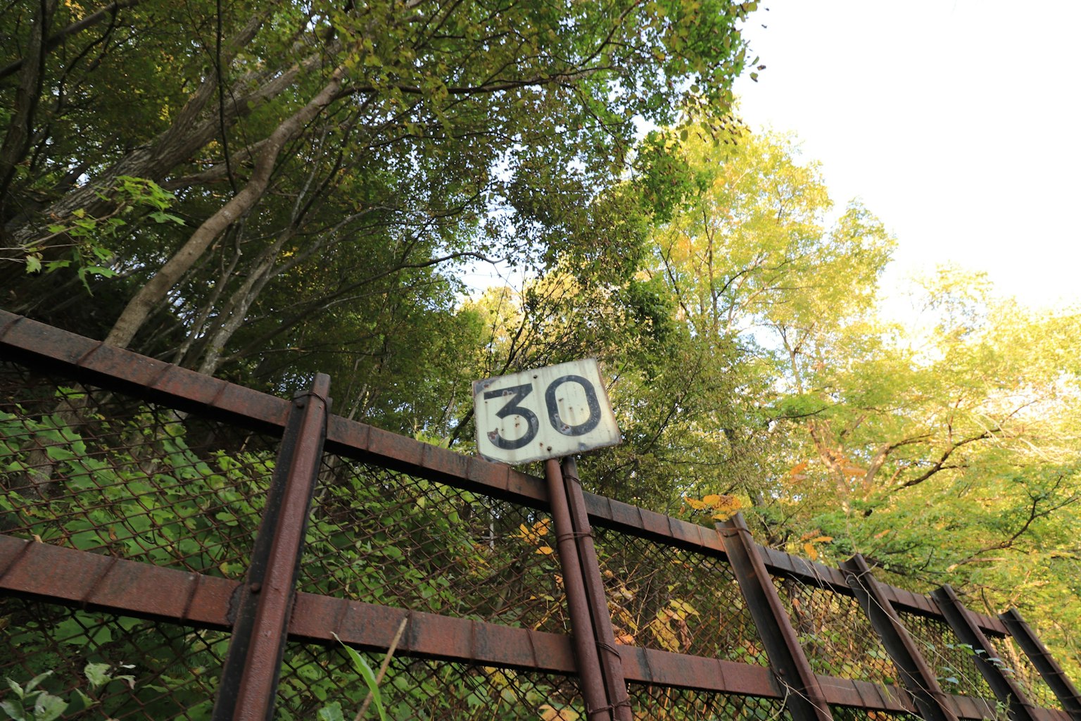 Ein abgenutzter Zaun mit einem Schild, das 30 zeigt, umgeben von grünen Bäumen