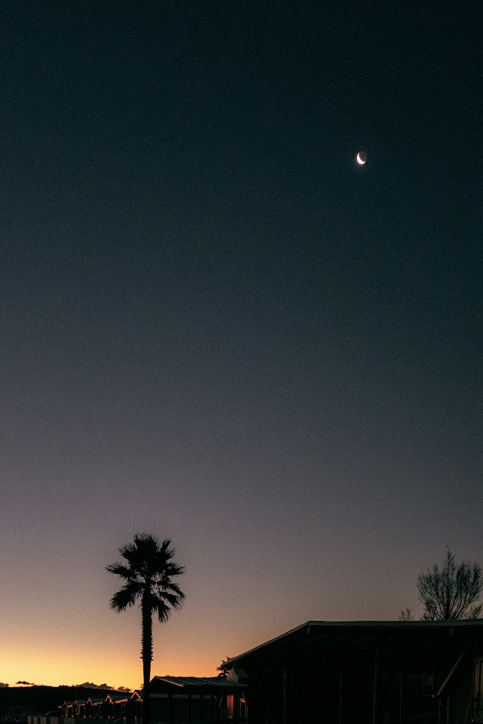 Un ciel crépusculaire serein avec un croissant de lune et un palmier