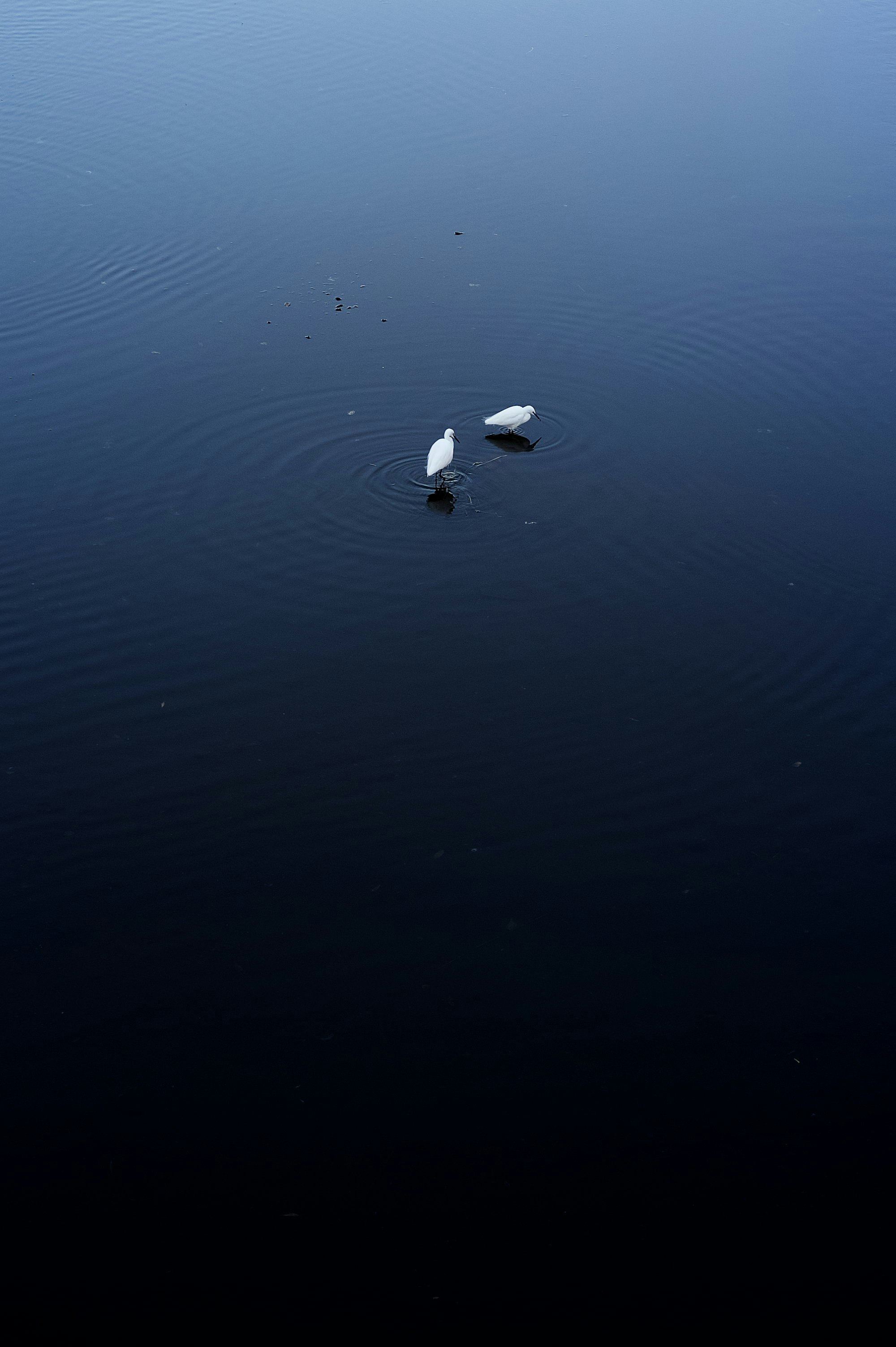photo-gBv9R73ri3fpClS30Cco