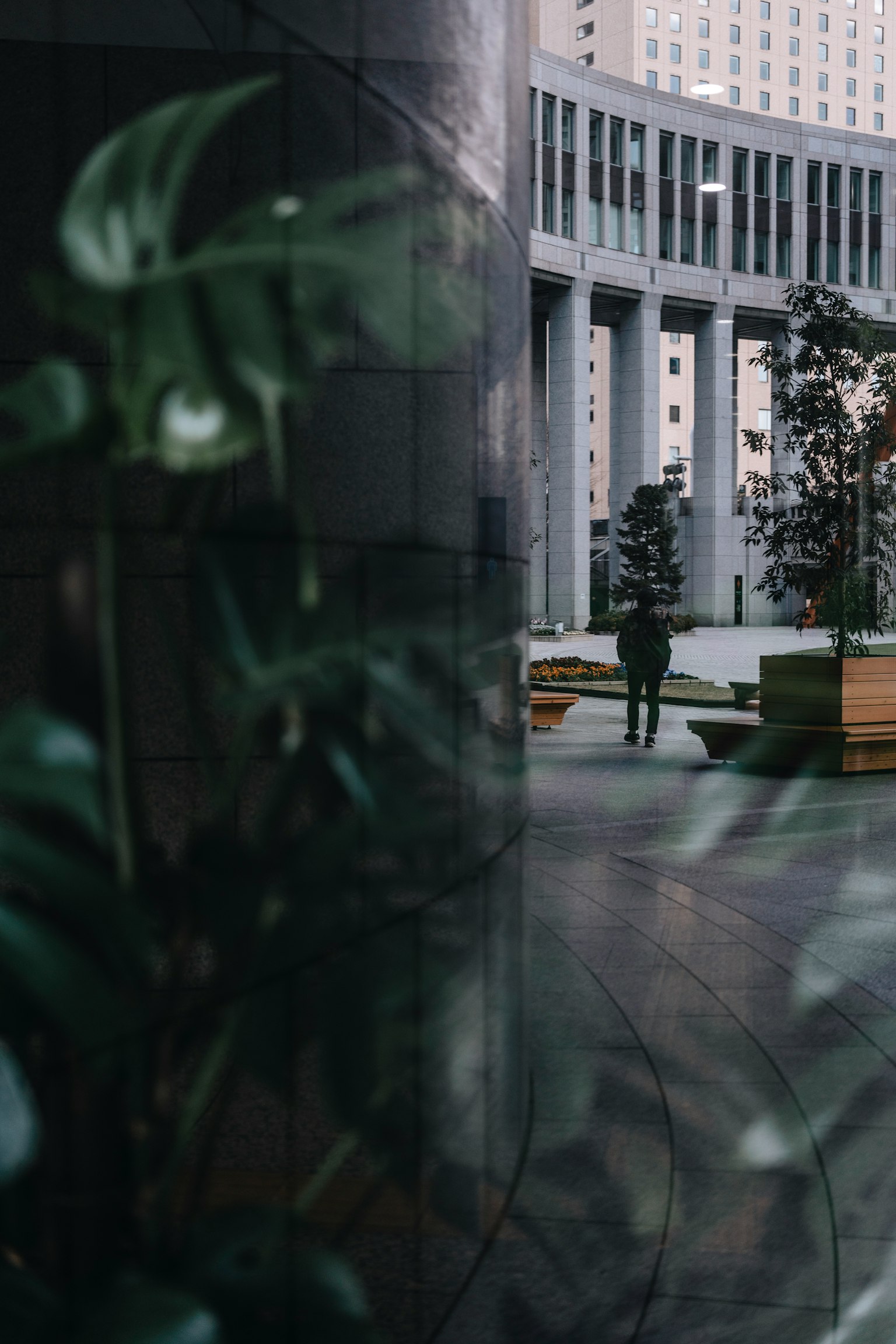 Personne se tenant dans un paysage urbain avec des plantes et des reflets de verre